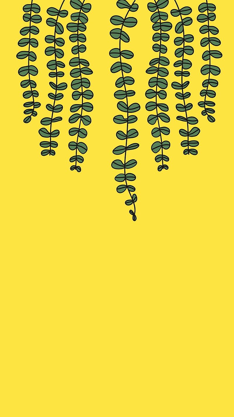 A yellow background with hanging green leaves. - Botanical