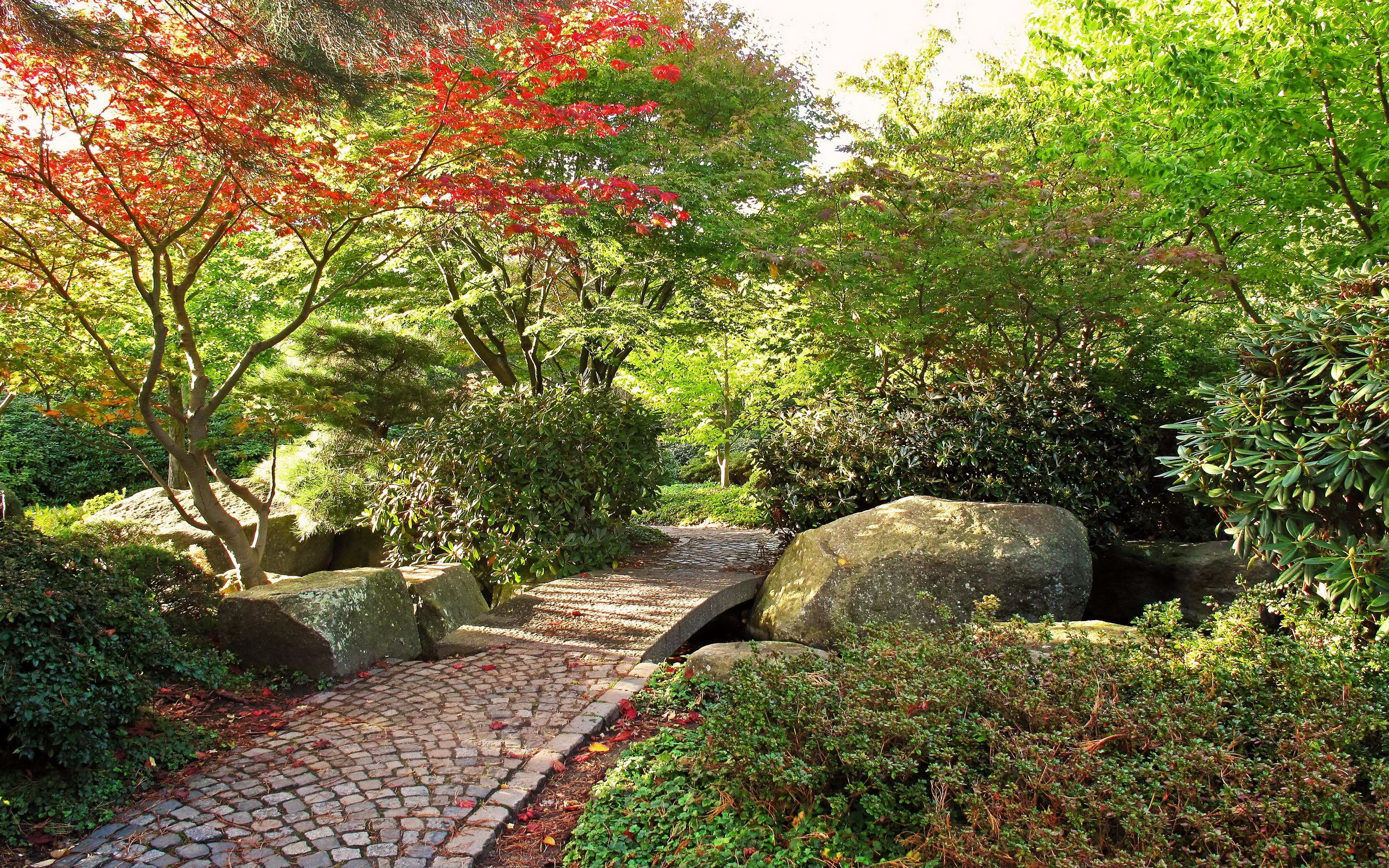 A stone path leads through a garden with trees and rocks. - Botanical