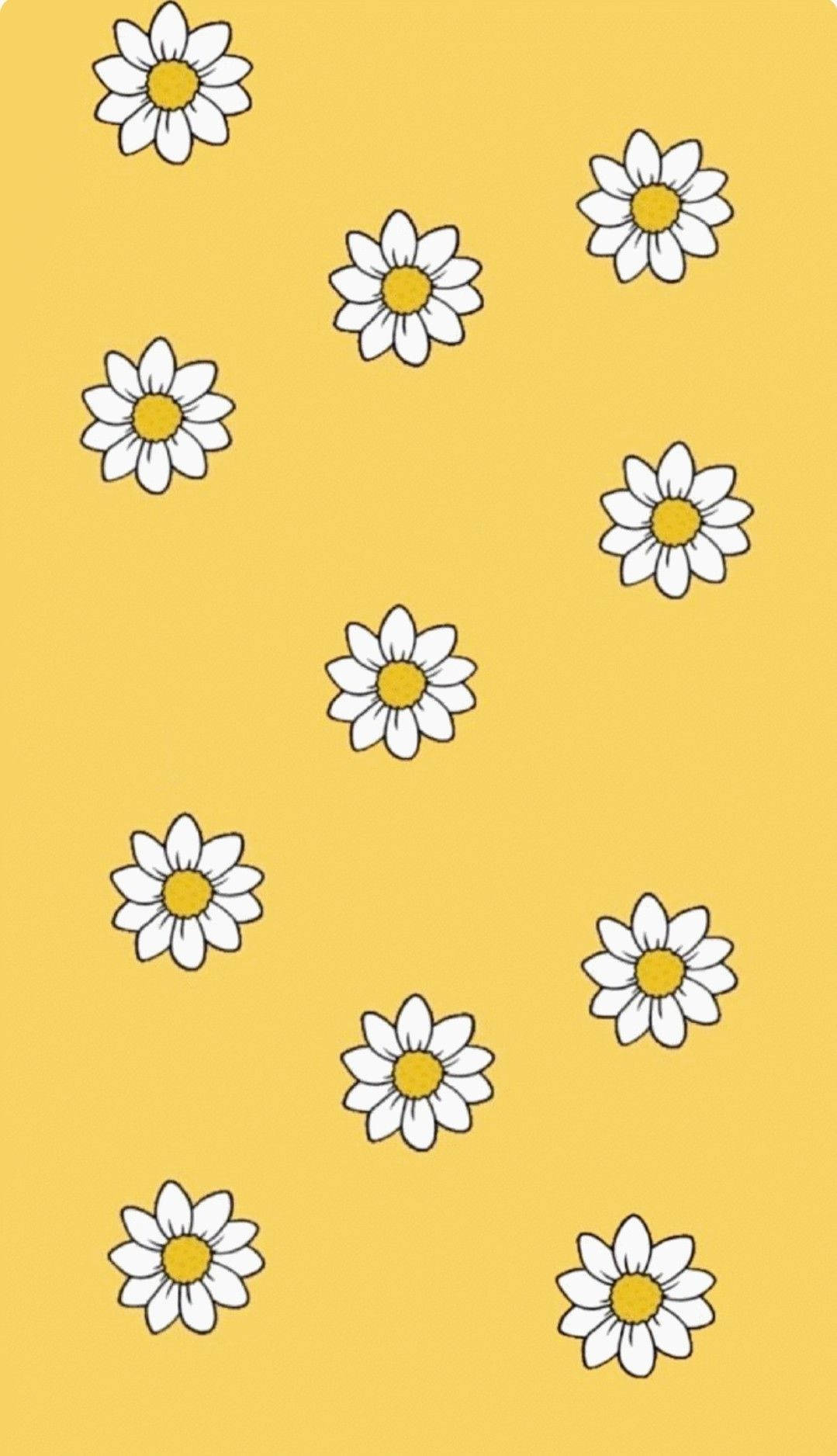 Download Cute Pastel Yellow Aesthetic Daisy Wallpaper
