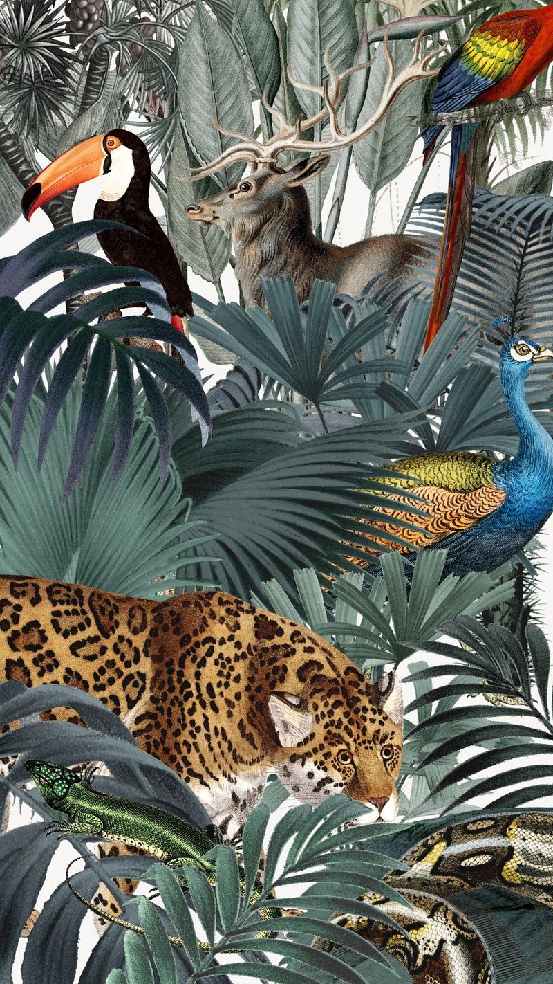 A digital collage of various animals and plants - Jungle