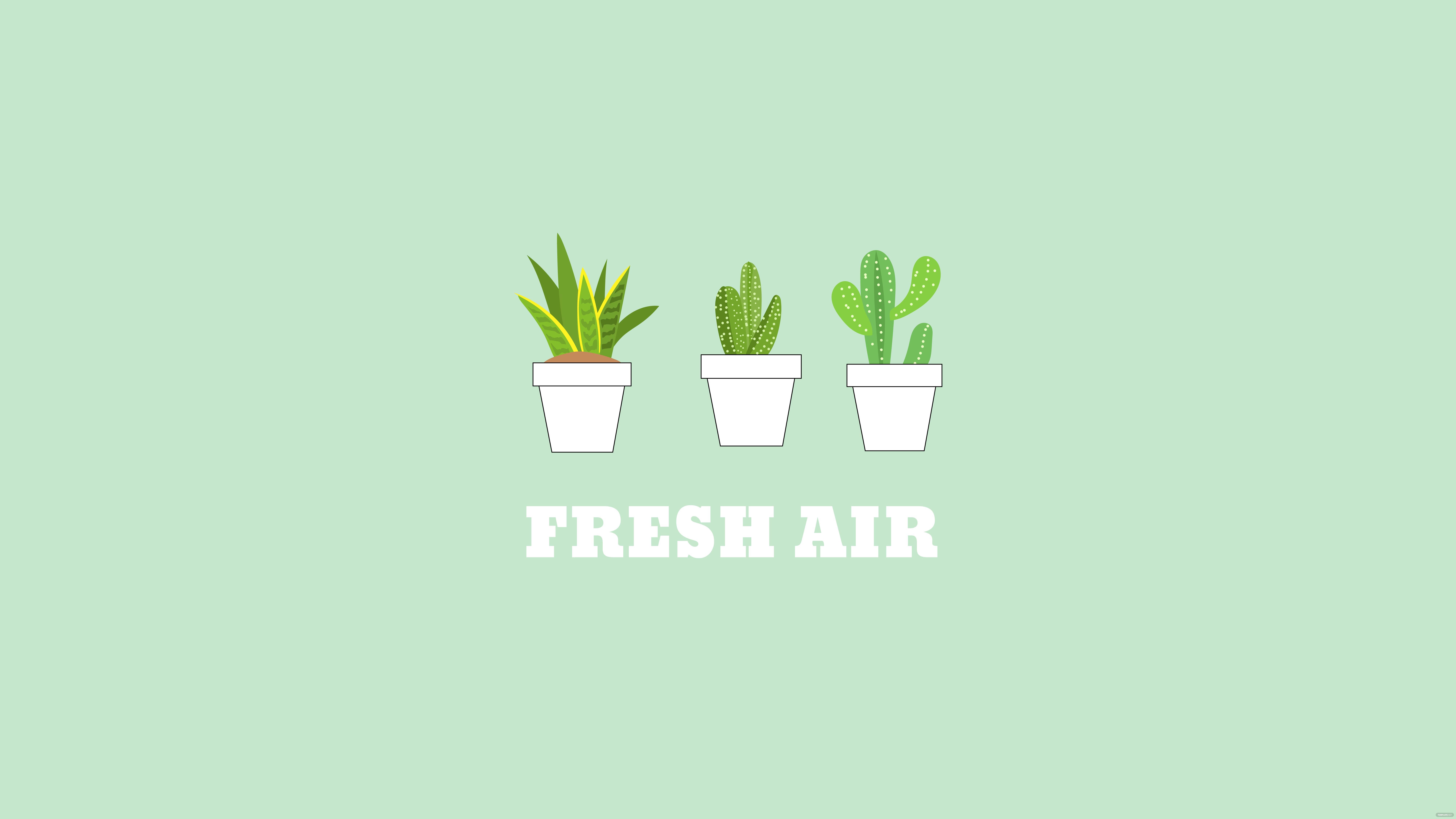Three cacti in pots with the words fresh air - Preppy