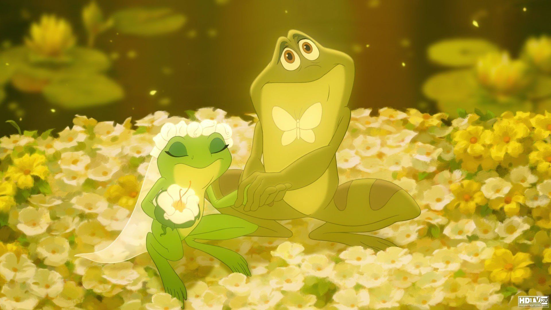 The frog prince and princess in a field of flowers - Frog