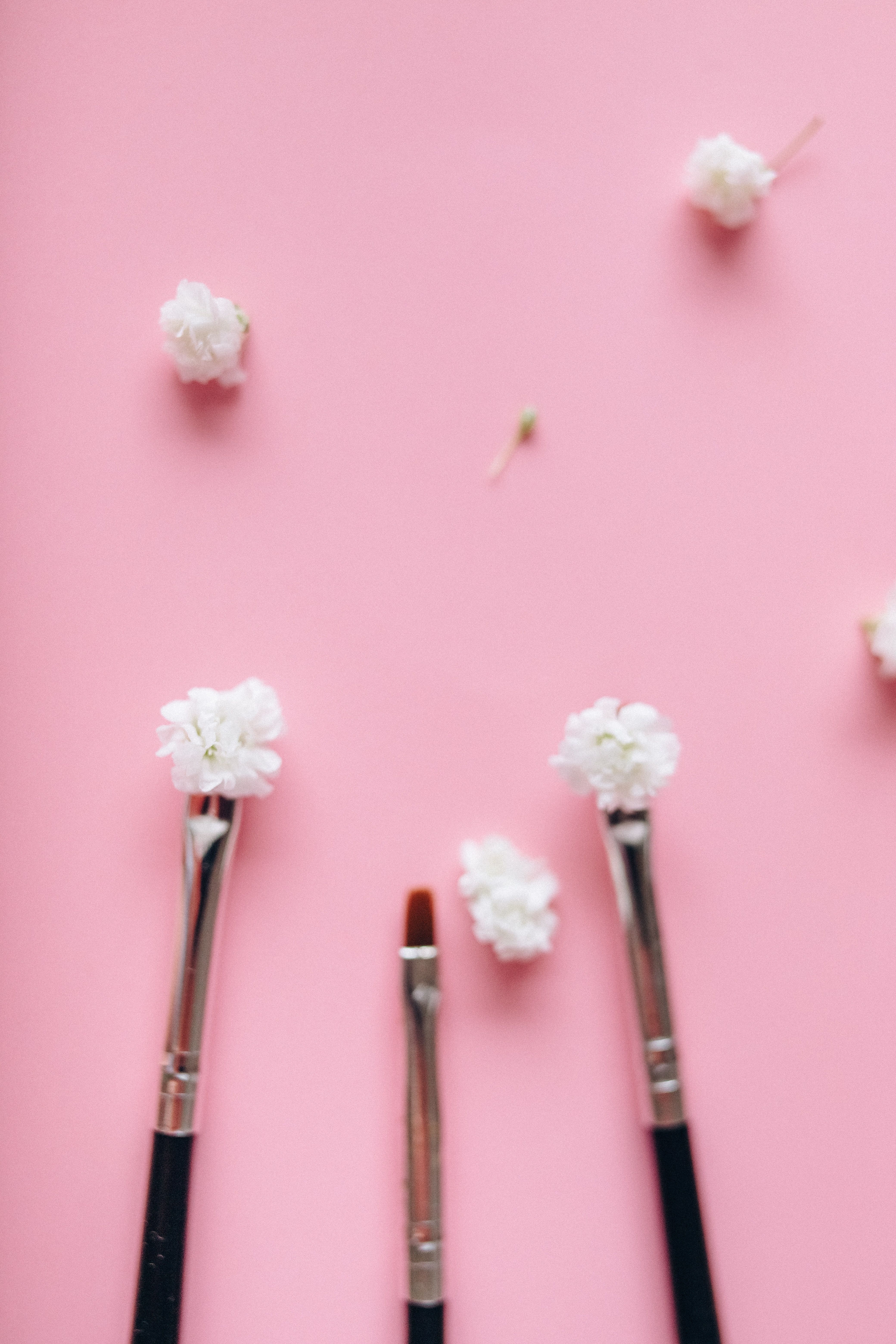 White Flowers with Pink Background · Free