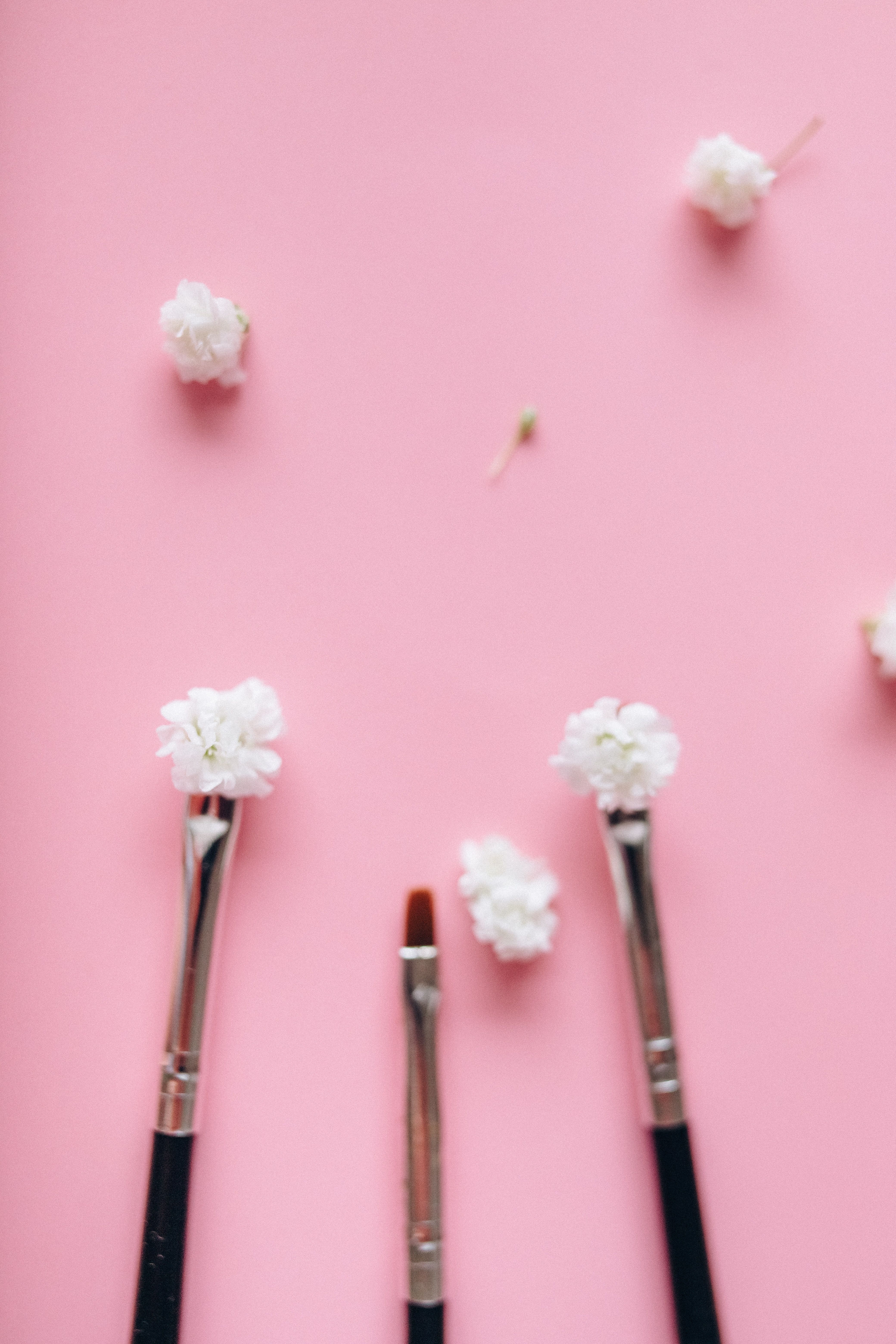 A close up of paintbrushes with white flowers on a pink background - Makeup