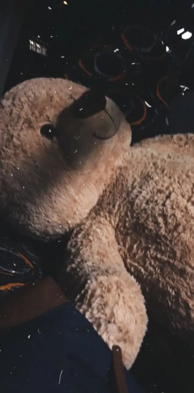 A teddy bear wearing a hat in a dark room. - Teddy bear