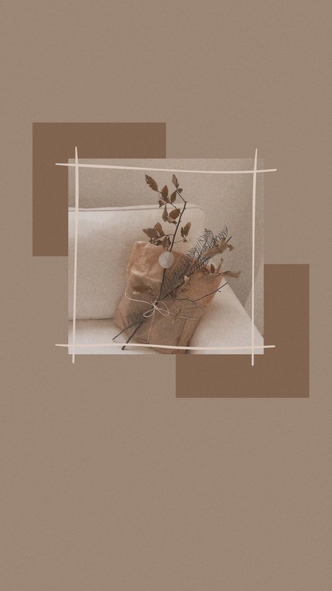 A plant wrapped in brown paper - Cream