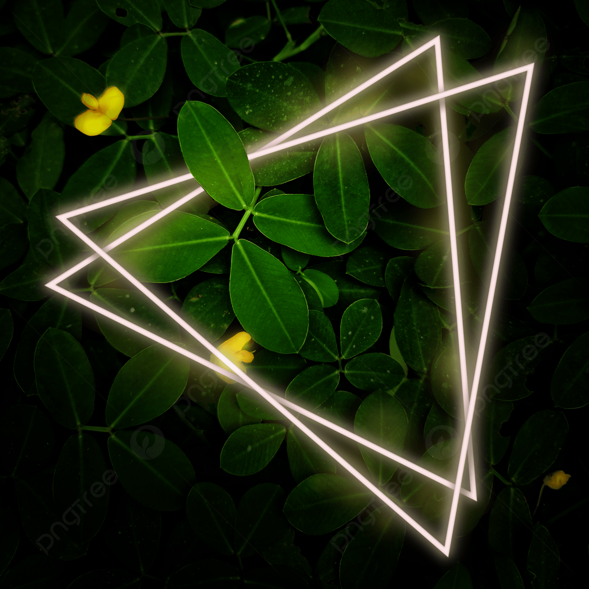 Neon Triangle On Bean Leaves Background, Neon Glow, Leaves, Green Background Image And Wallpaper for Free Download