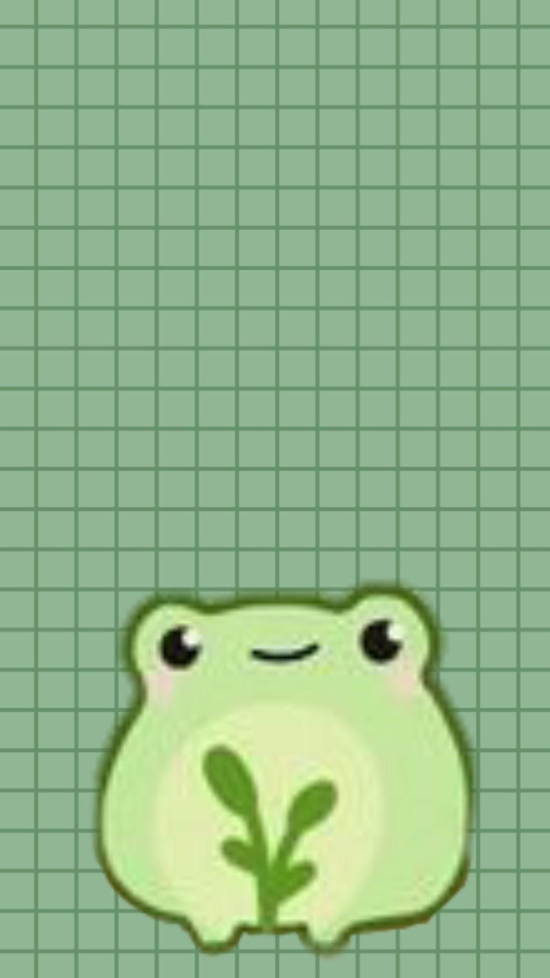 Green frog on a green grid background - Frog