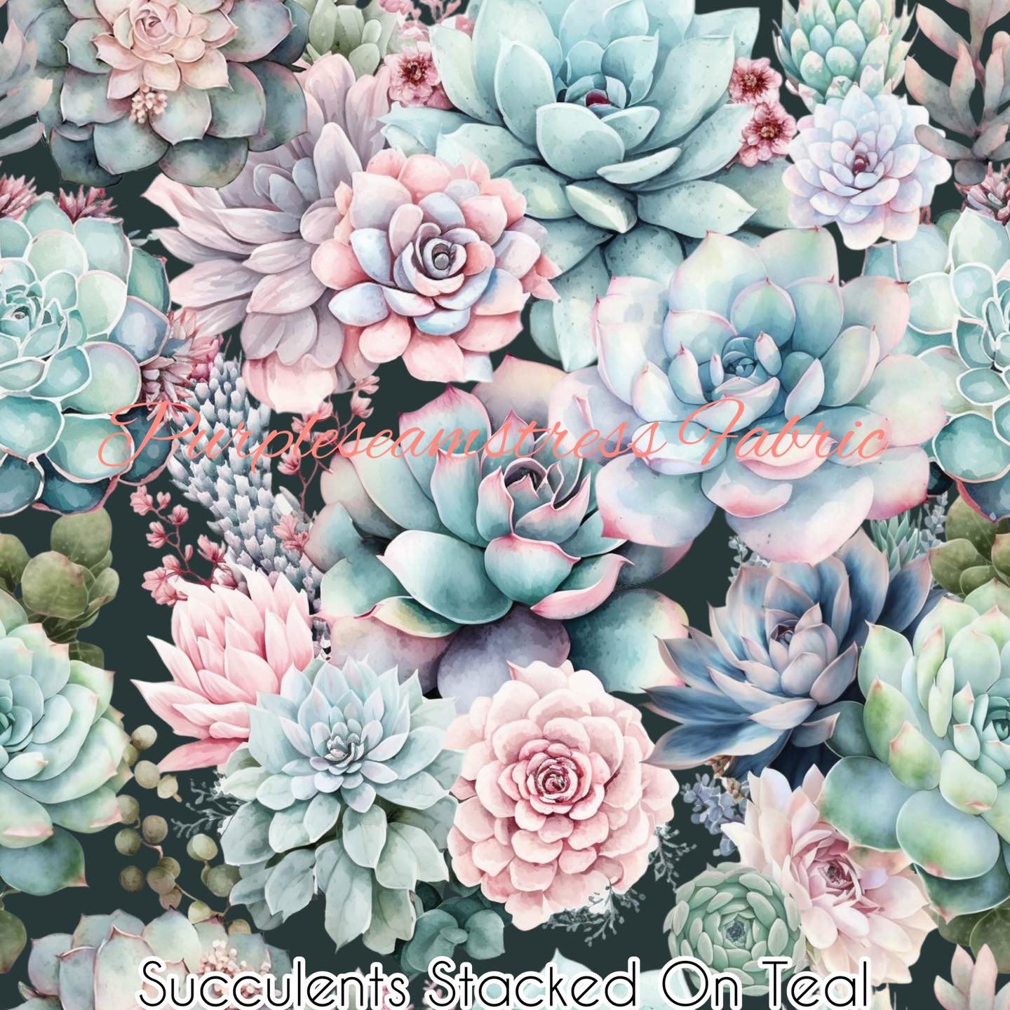 Succulents Stacked on Teal Cotton Lycra