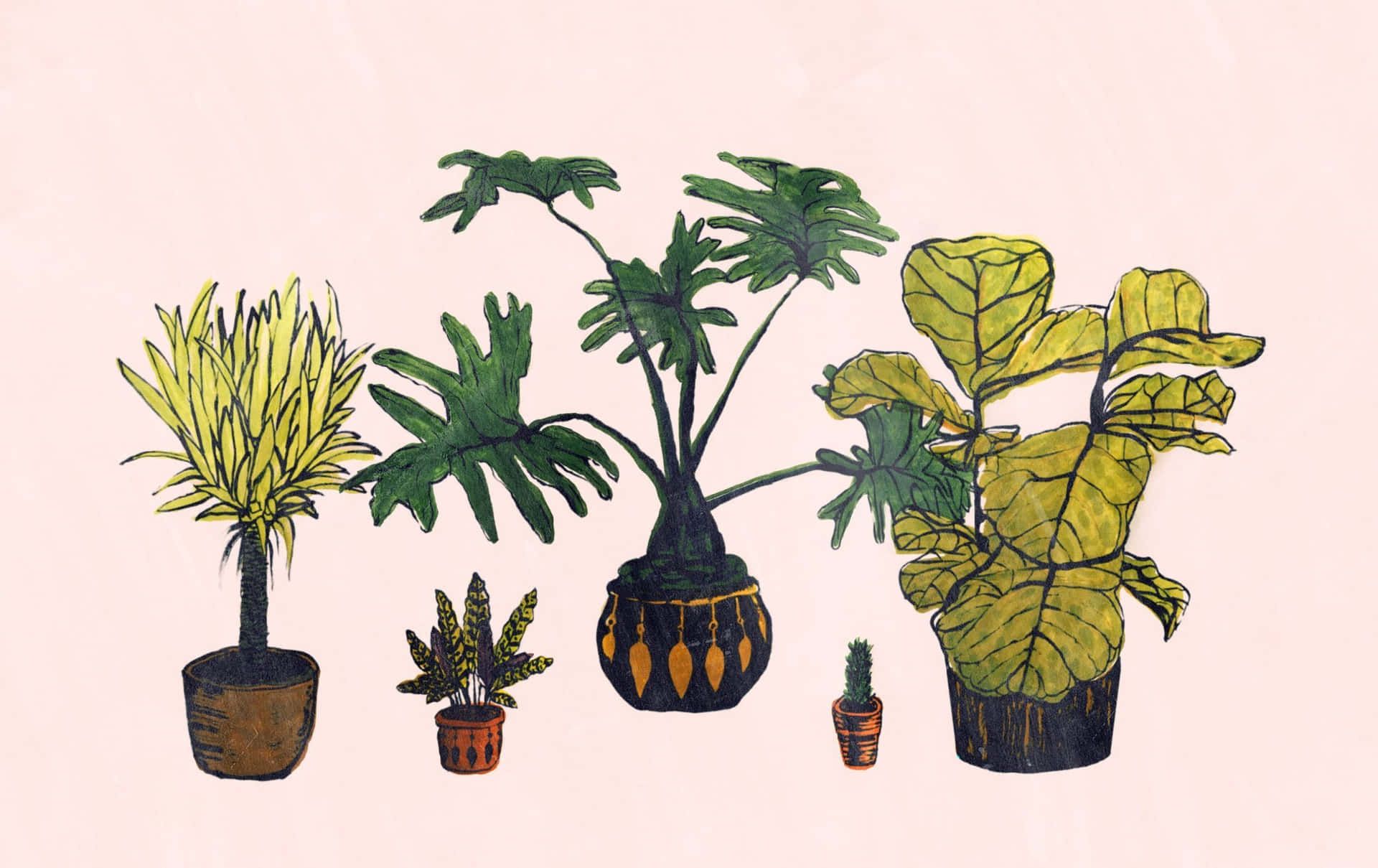 Download Aesthetic Watercolor Minimalist Plant Desktop Wallpaper
