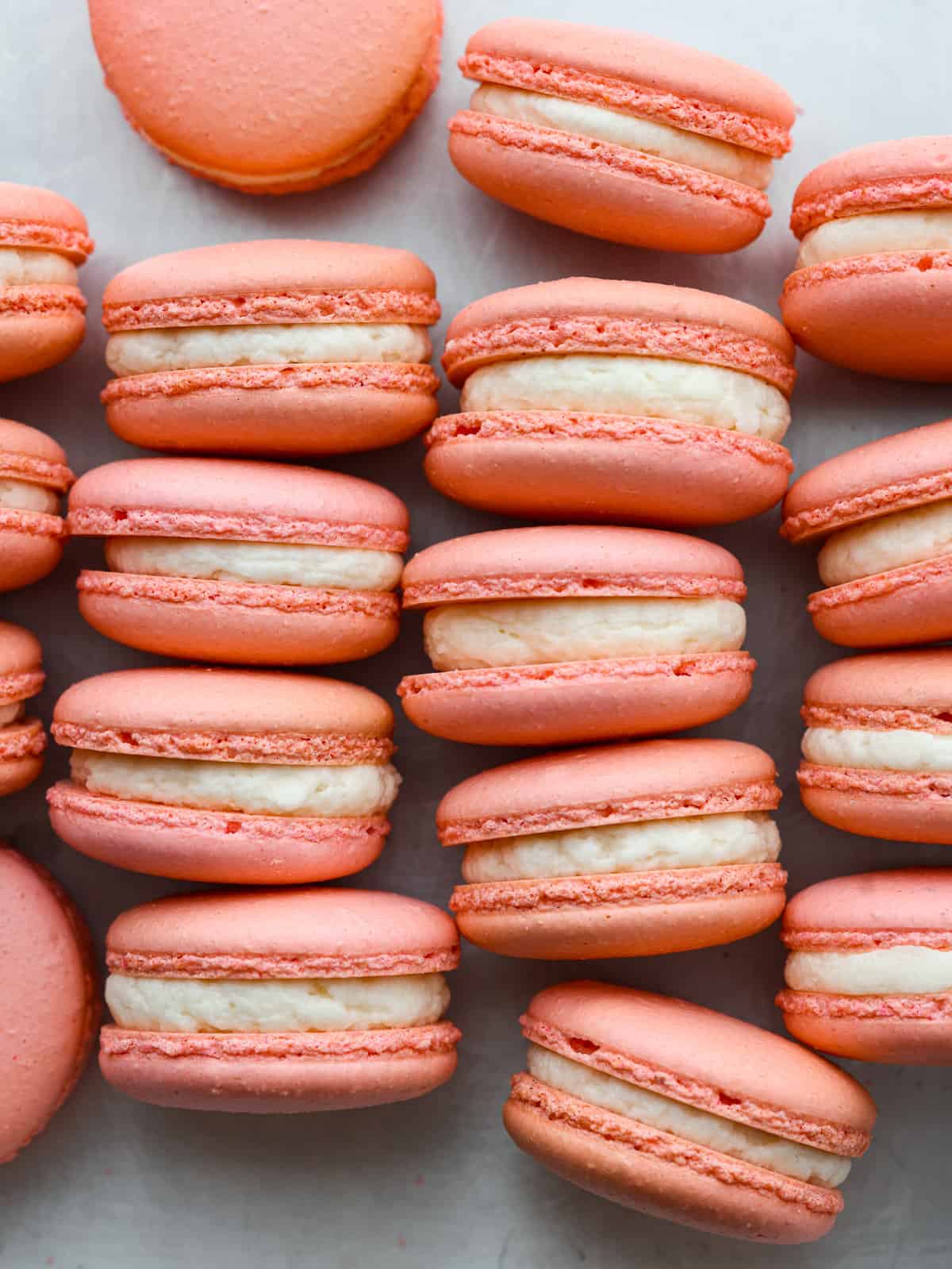 Overhead view of pink macarons filled with white chocolate ganache on a white background - Macarons