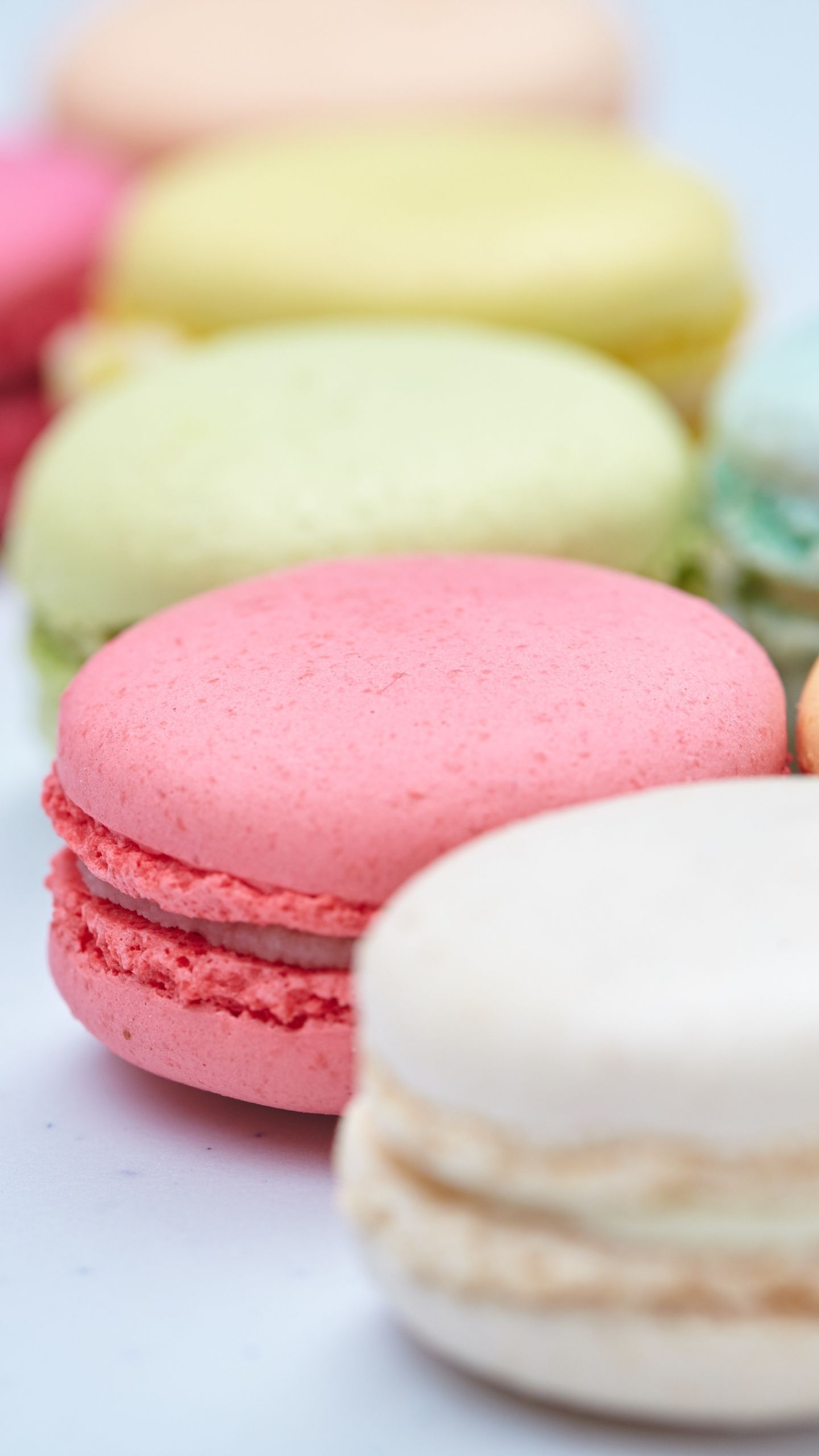 A row of colorful macarons with the focus on a white macaron in the foreground. - Macarons