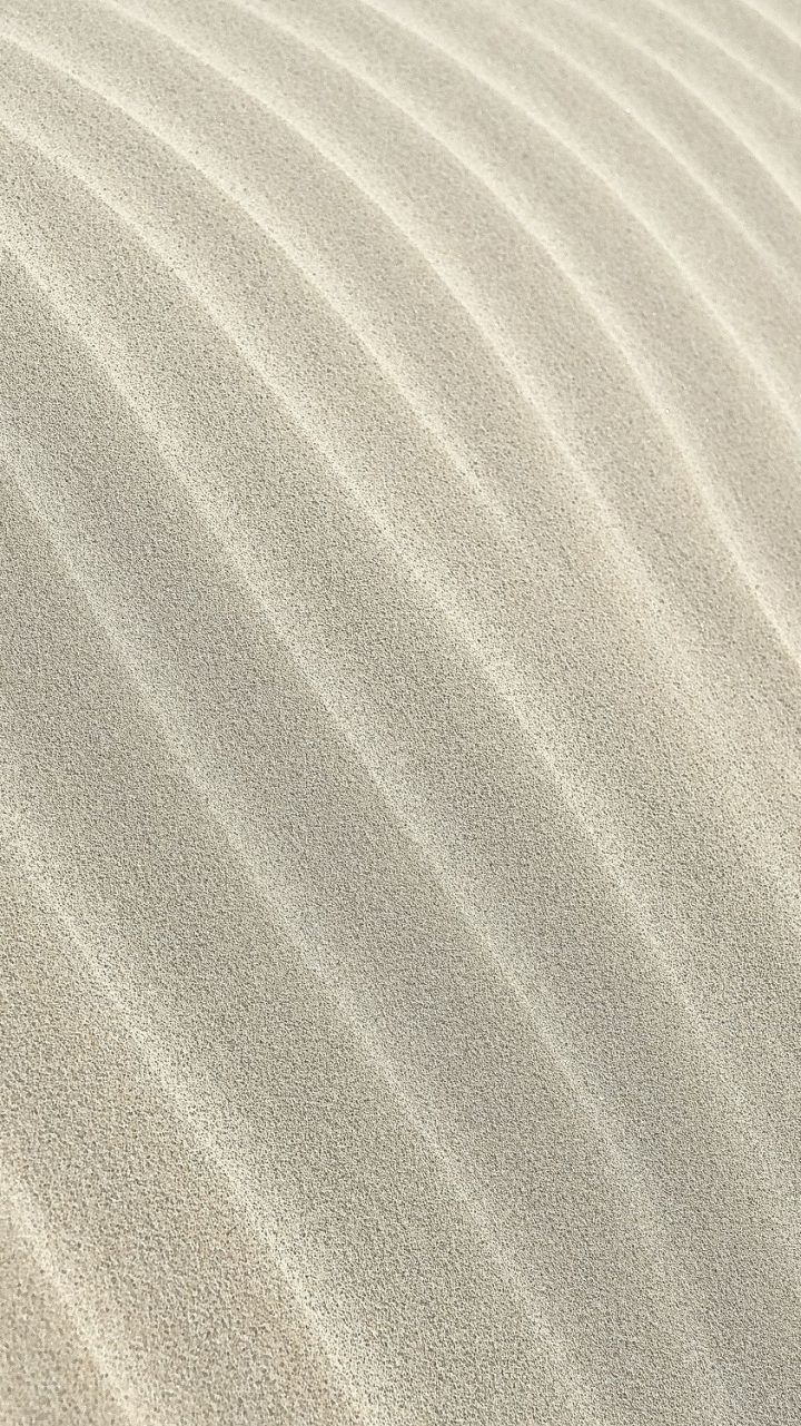 Sand ripples in the sun - Sand