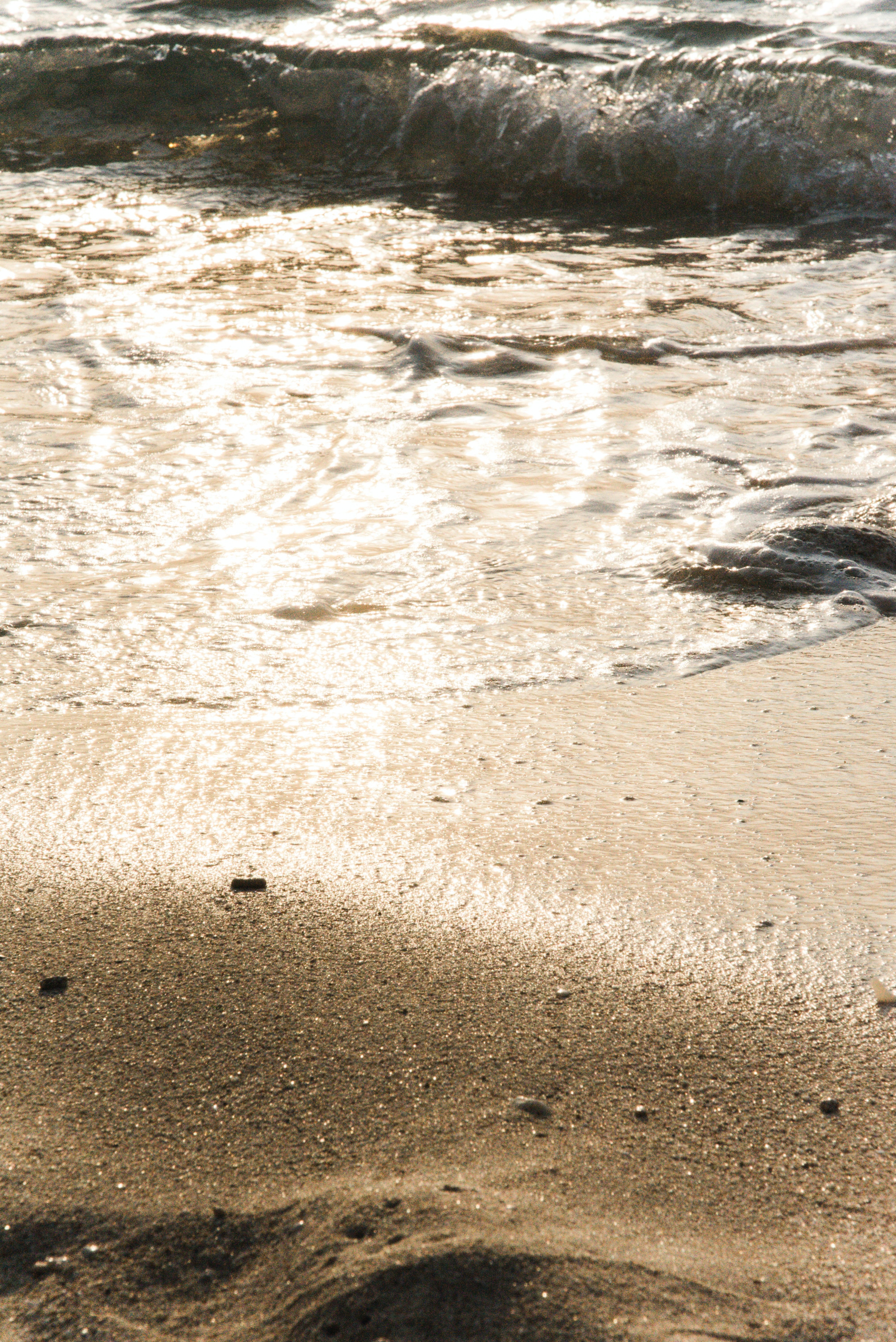 Wet Sand on Sunny Sea Shore · Free