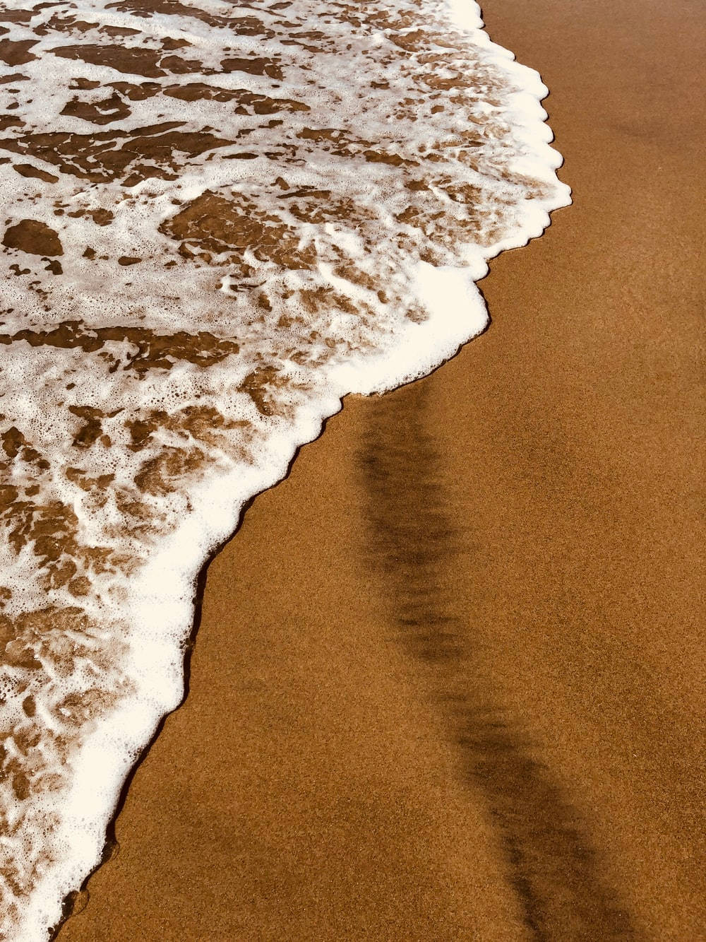 Download Light Brown Aesthetic Seashore Wallpaper
