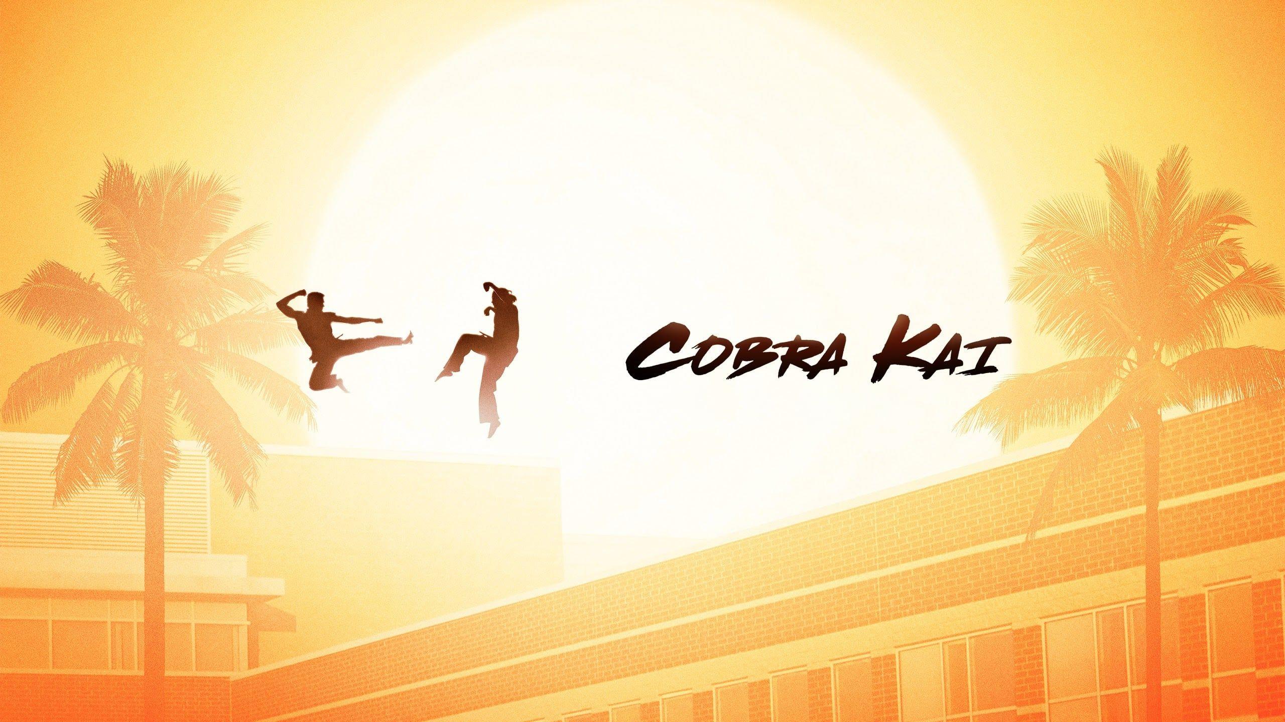A Cobra Kai wallpaper featuring the two main characters, Daniel and Johnny, fighting in front of a sun and palm trees. - Cobra Kai