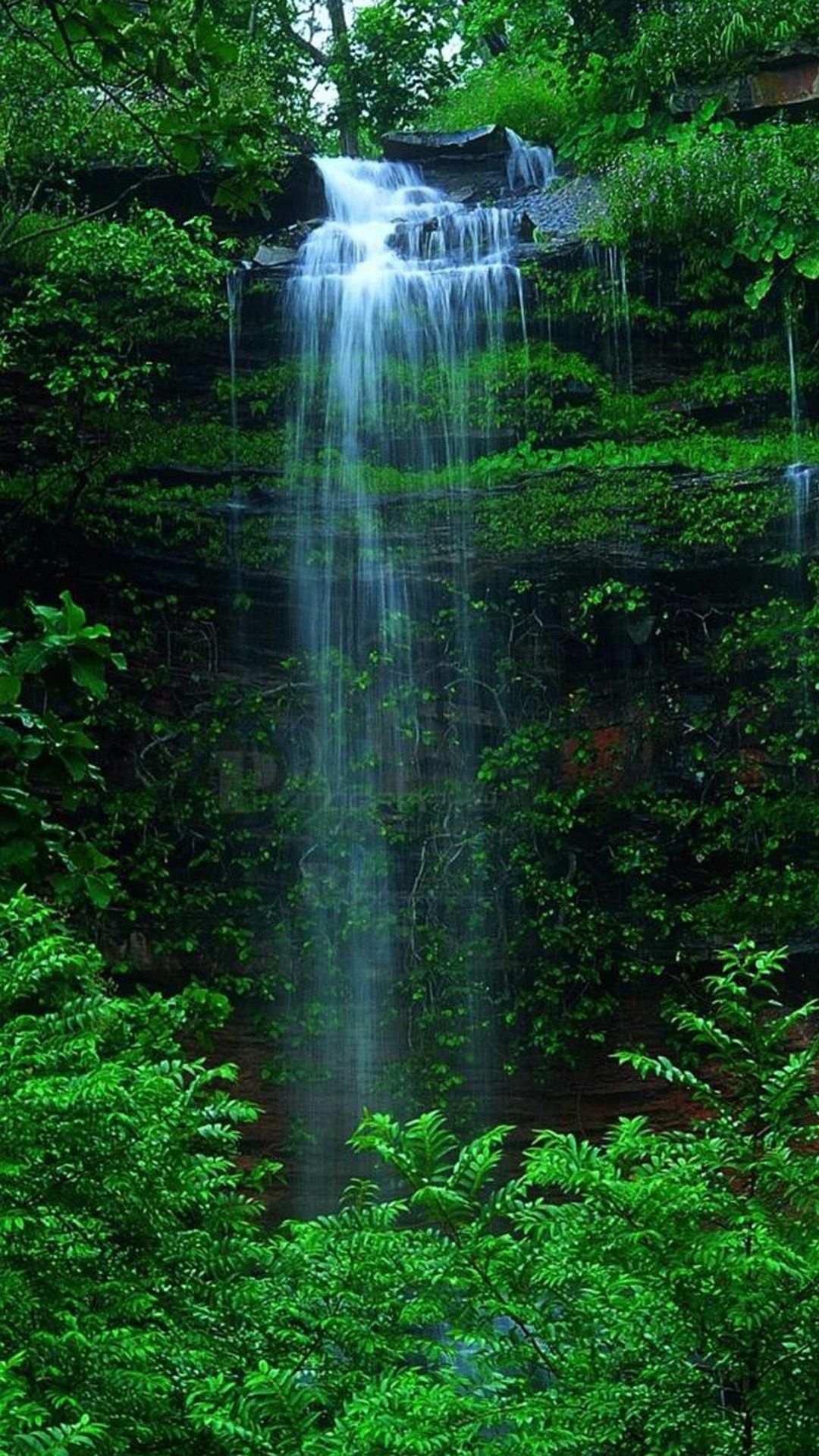 Nature Forest Waterfall IPhone 6 Wallpaper Download. IPhone Wallpaper, IPad Wallpaper One S. Waterfall Background, Waterfall Wallpaper, Forest Wallpaper Iphone
