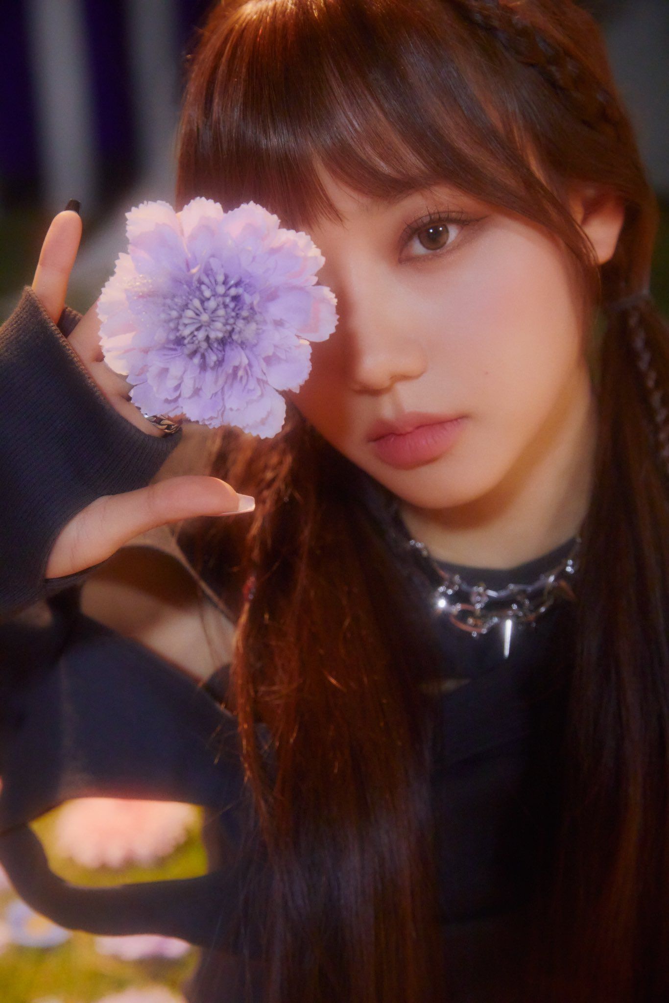 A picture of Rosé from Blackpink holding a purple flower in front of her face. - FIFTY FIFTY