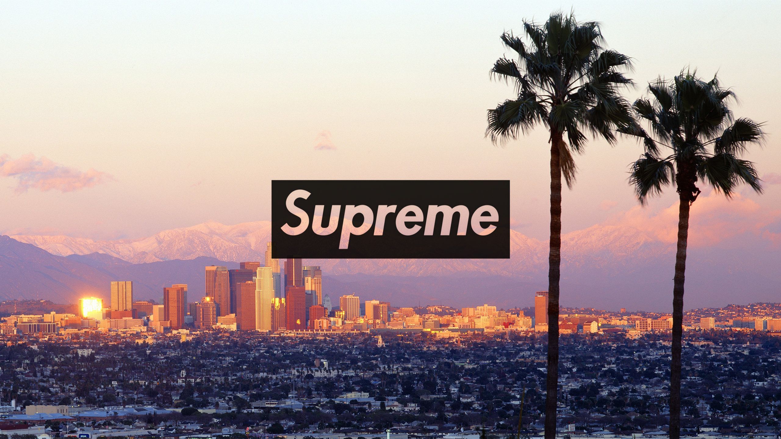 Supreme wallpaper, los angeles skyline, palm trees, mountains, cityscape, city, downtown, sunset, sunset wallpaper, los angeles wallpaper, supreme logo, supreme background, supreme phone wallpaper, supreme phone background, supreme phone screensaver, supreme phone wallpaper, supreme phone background, supreme phone screensaver - Supreme