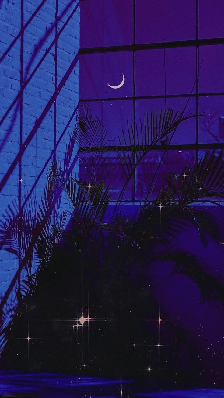 Aesthetic background of a window with a half moon and palm trees - Dark vaporwave