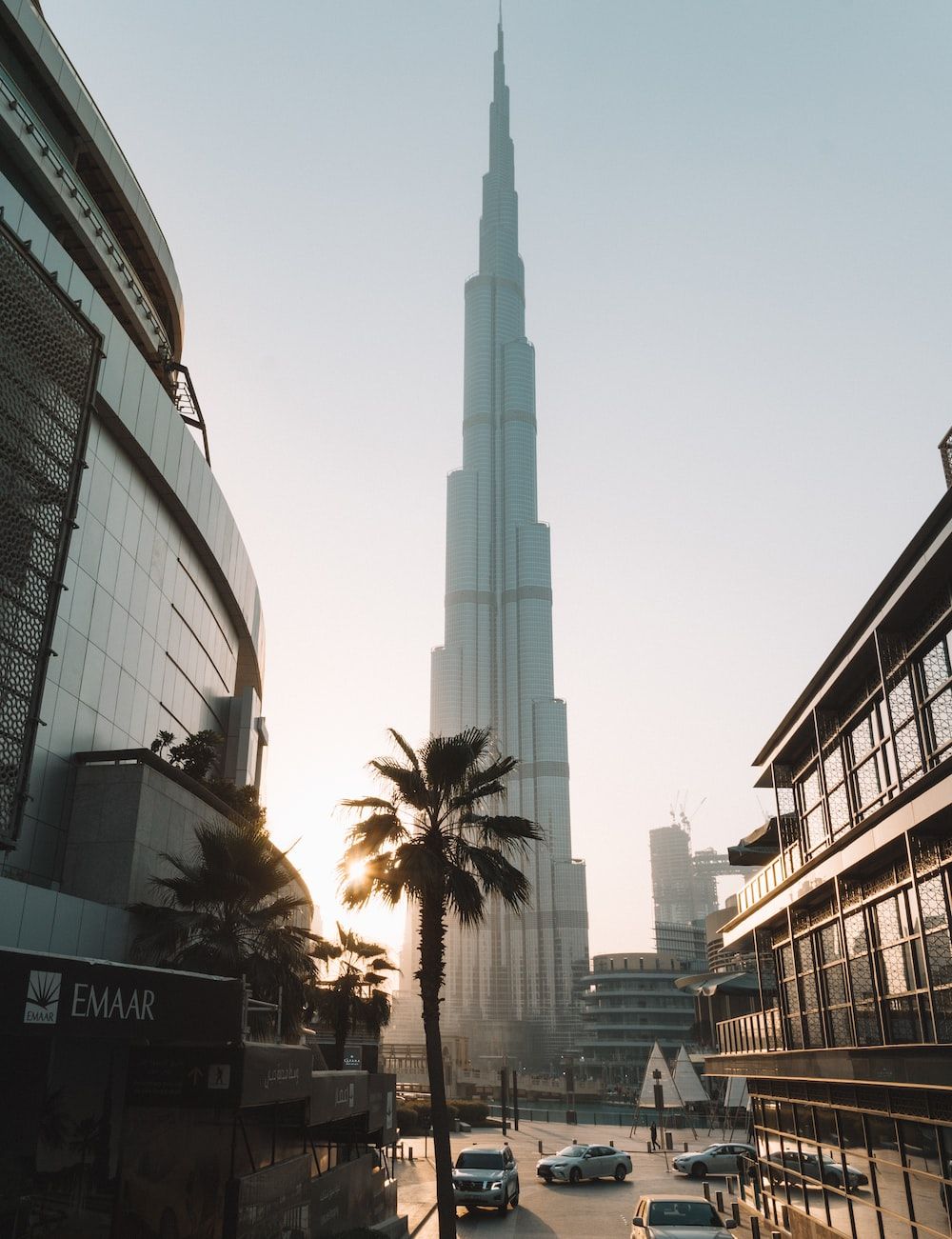 A city street with palm trees and the Burj Khalifa in the background. - Dubai