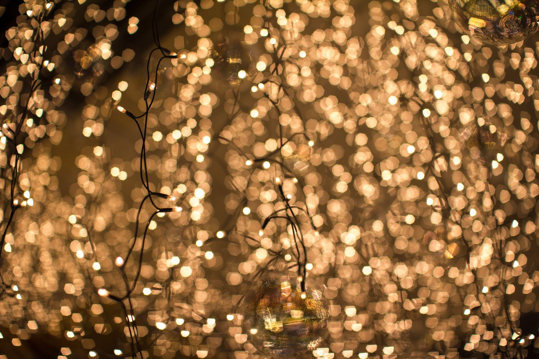 Christmas lights on a tree - Fairy lights