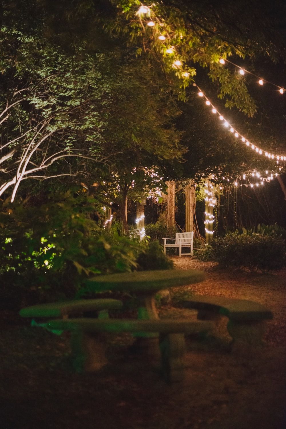 A bench under a string of lights in a garden. - Fairy lights