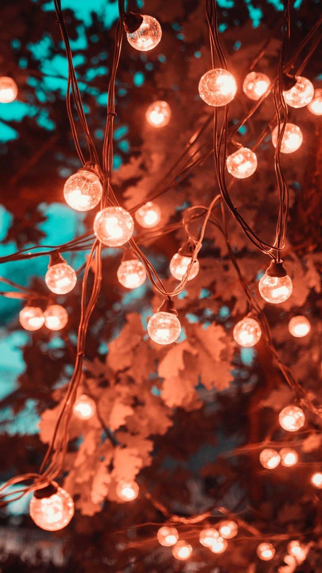 IPhone wallpaper of a string of lights in front of a tree - Fairy lights