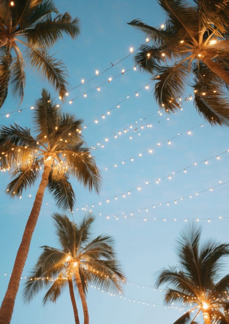 Palm trees with fairy lights hanging from a blue sky - Fairy lights
