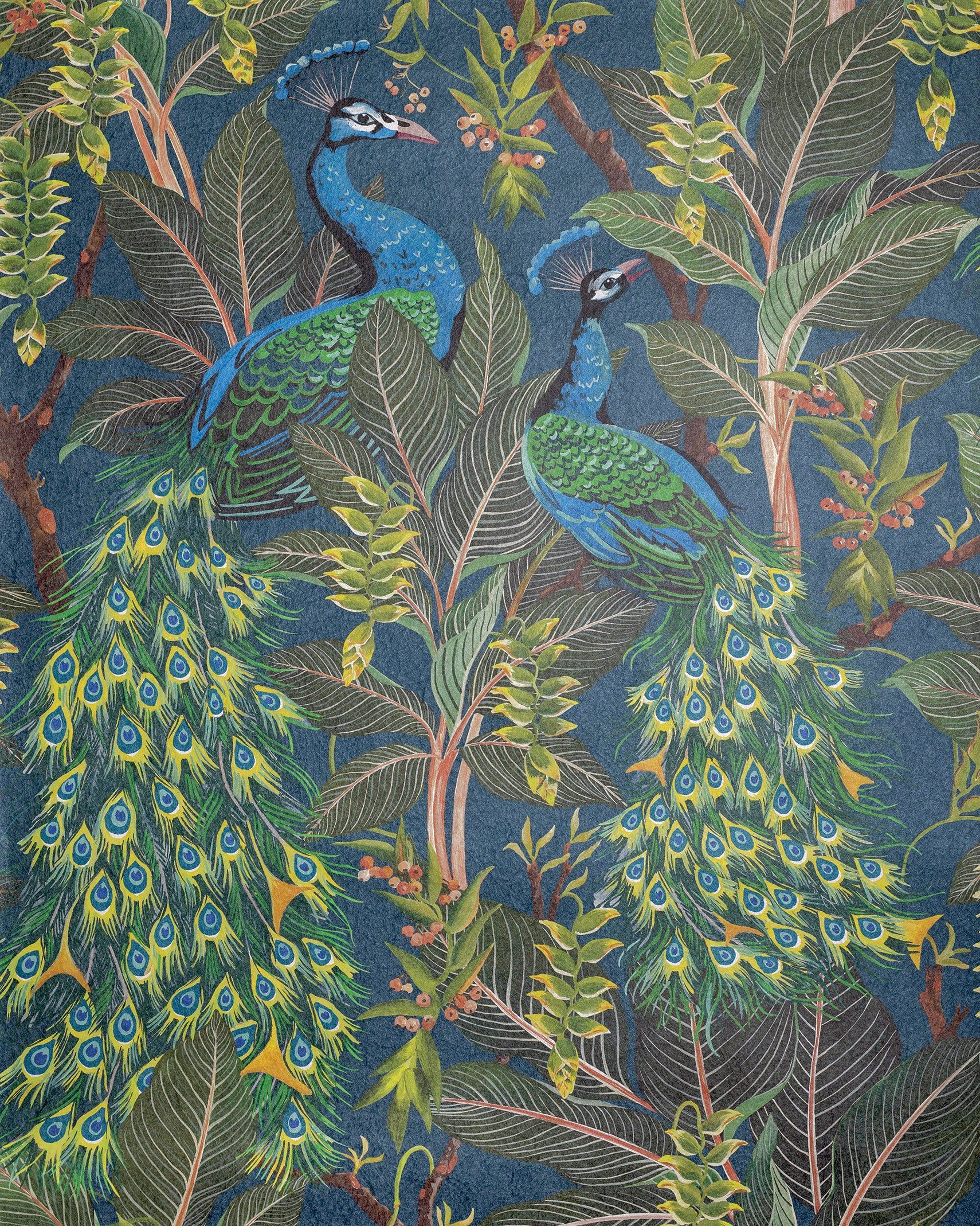 Peacock wallpaper in a choice of blue or green - Peacock