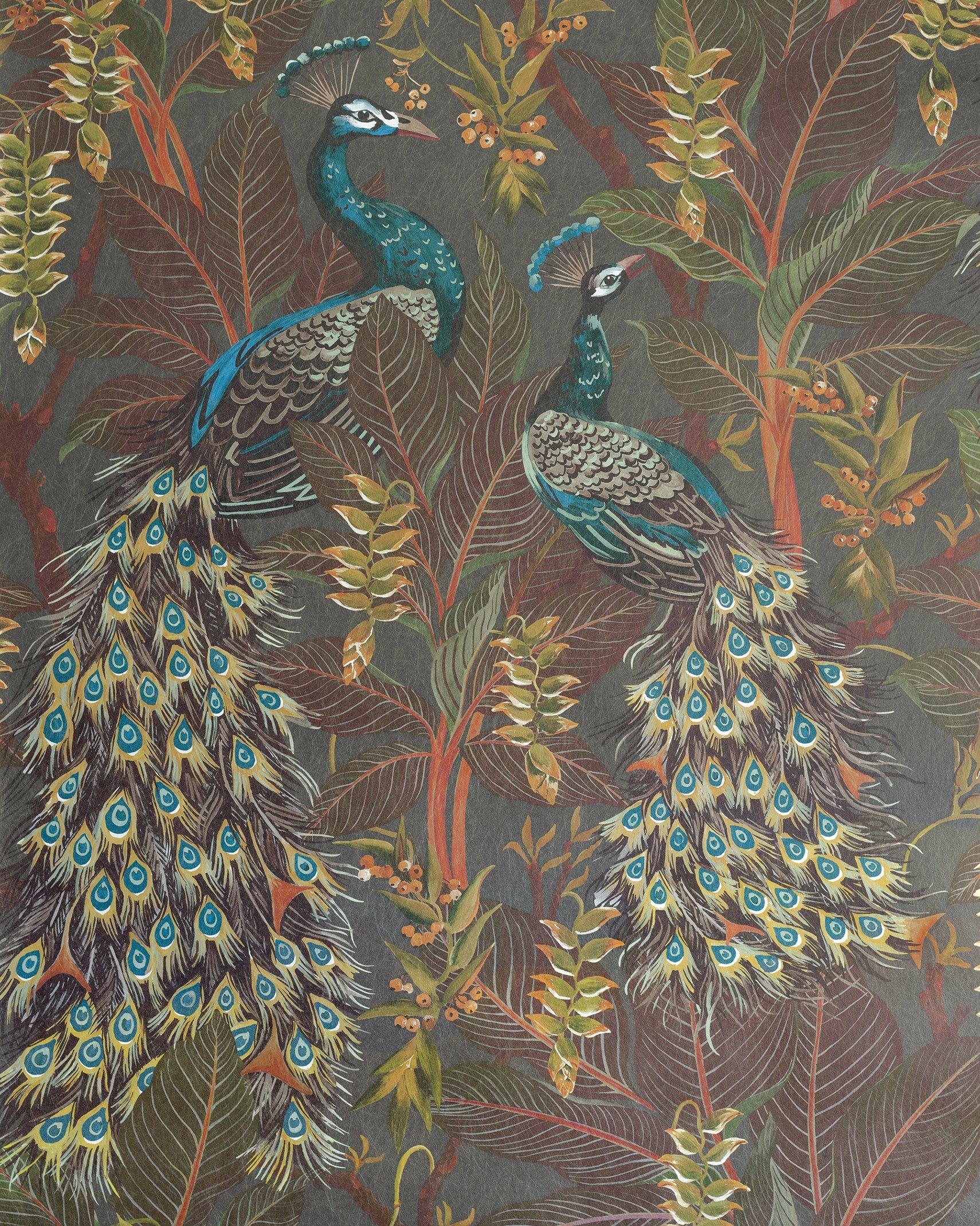 A pair of peacocks on a grey background - Peacock