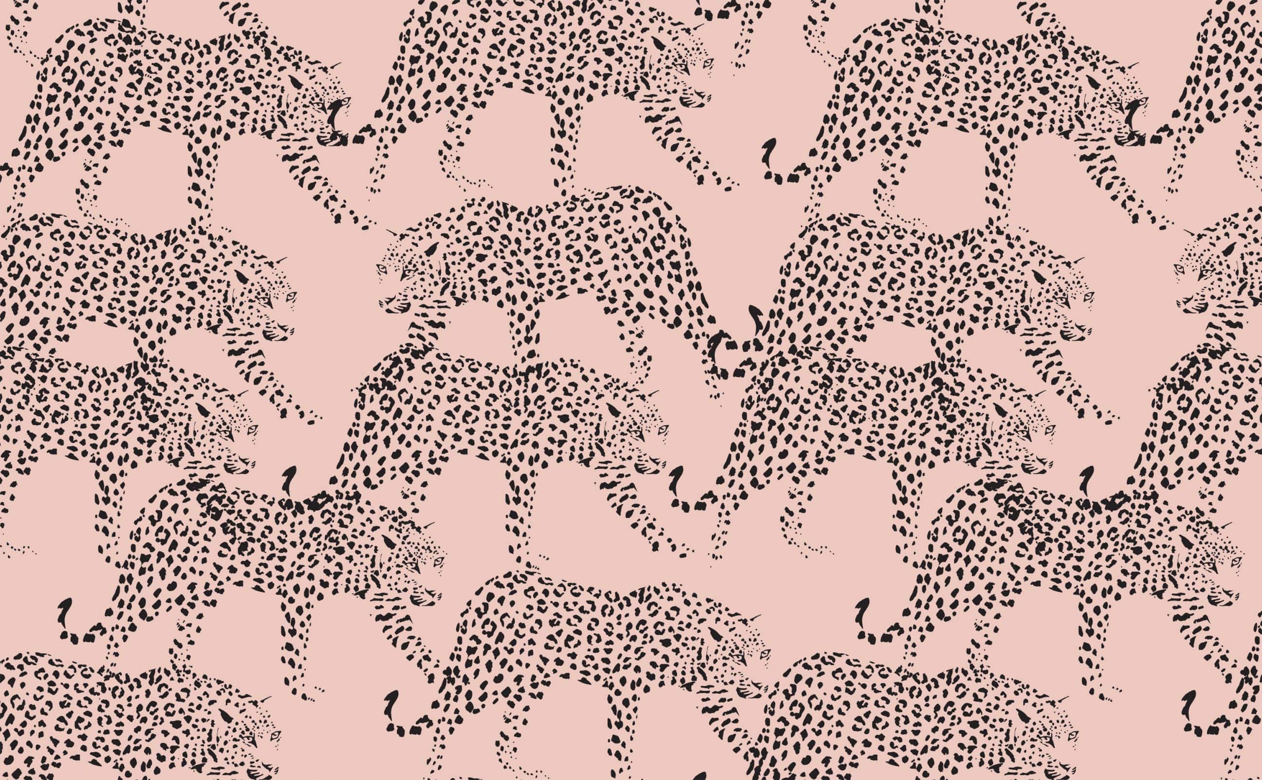 Dusty rose with black leopard illustrated overlay Pattern Wallpaper for Walls. Prowl and Purr. - Leopard