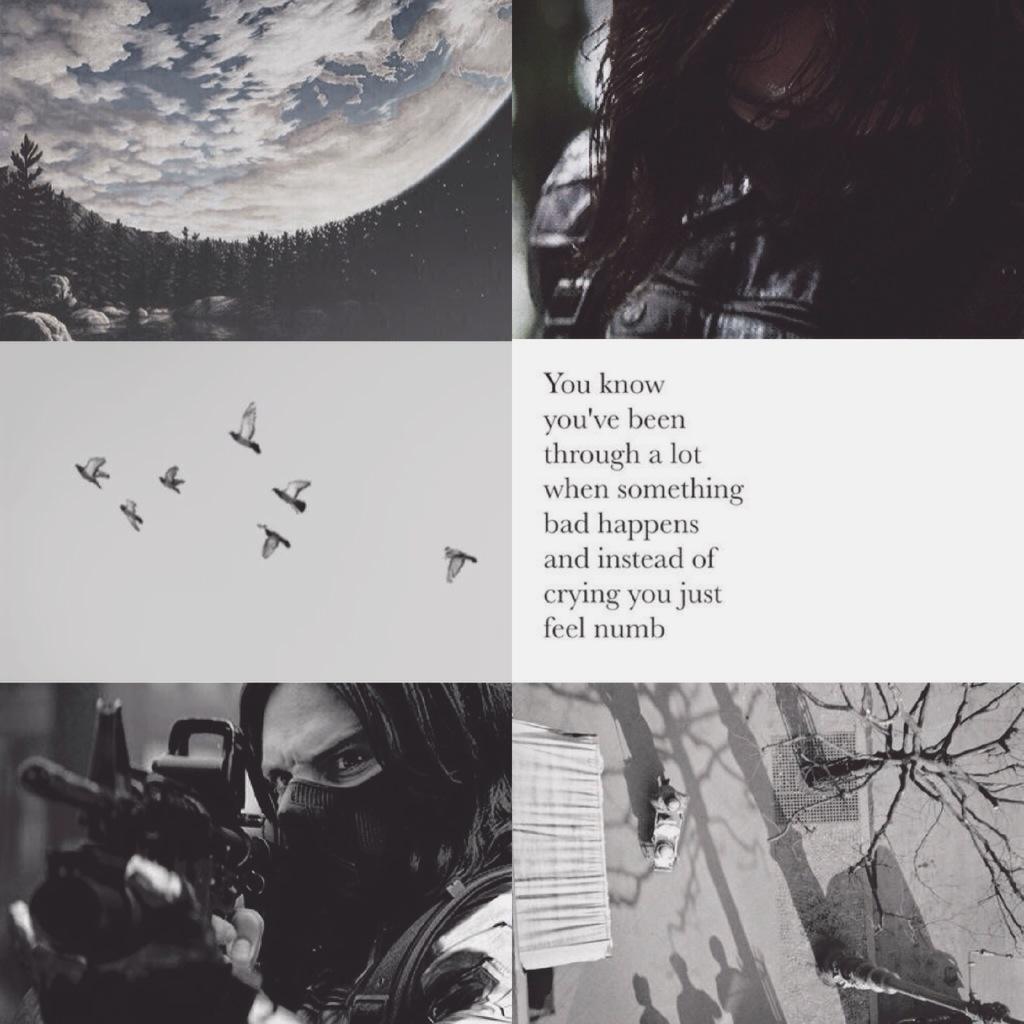 James Bucky Barnes / The Winter Soldier aesthetic ❄️