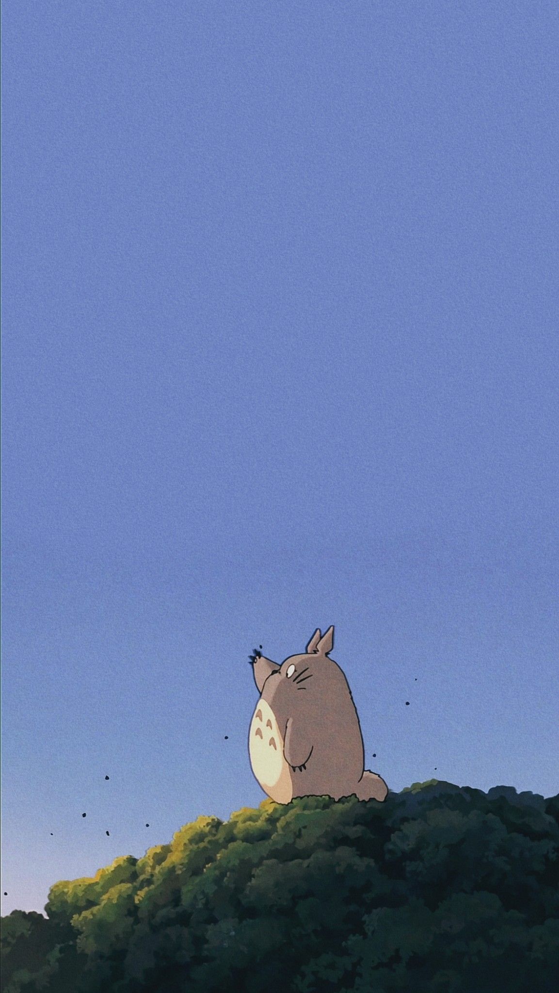 Totoro on a hill looking at the sky - My Neighbor Totoro