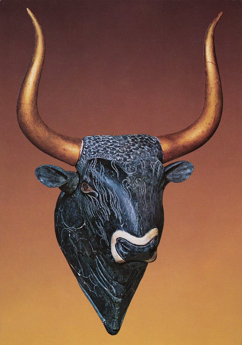 Longhorn Cattle Image Wallpaper