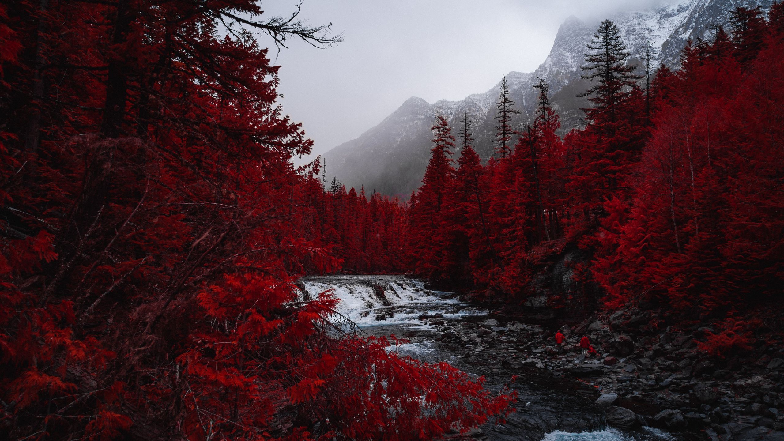 Download wallpaper 2560x1440 river, trees, red, mountains, fog, landscape widescreen 16:9 HD background