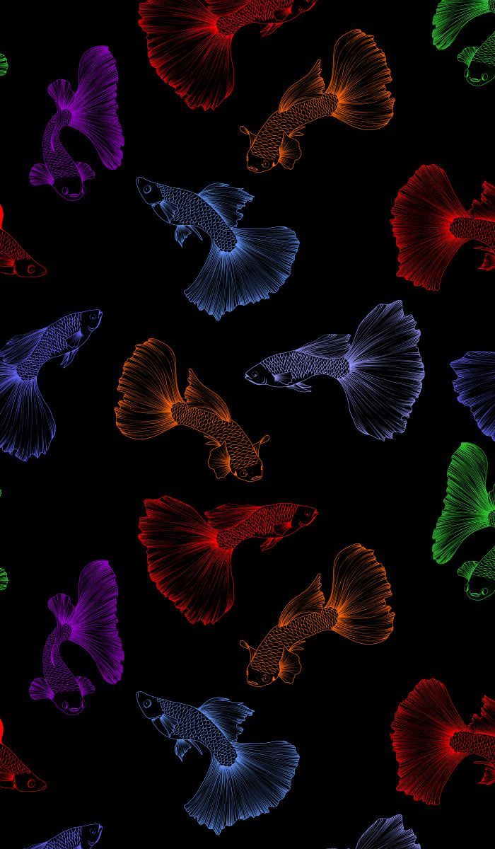 Seamless fish pattern with black background. Vector aquarium guppies in different co. iPhone wallpaper HD nature, Wallpaper nature flowers, Flower phone wallpaper