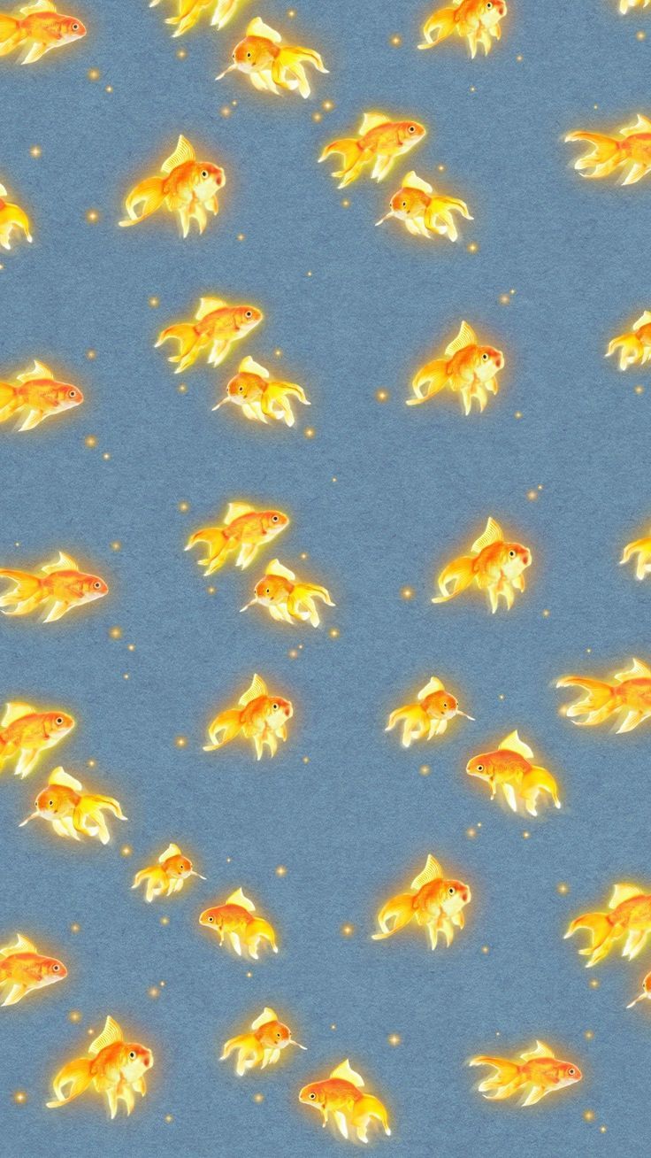 Orange Gold Fish Wallpaper Background. In 2023. IPhone Wallpaper Orange, Fish Wallpaper, Fish Wallpaper Iphone