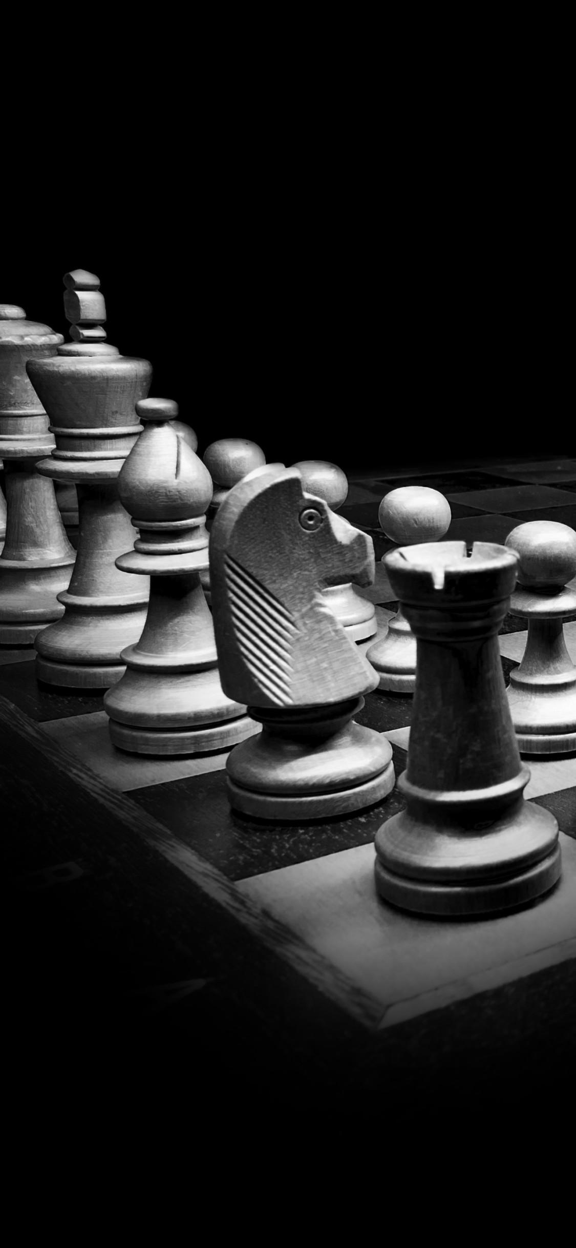A black and white photo of a chess board with a knight on the board. - Chess