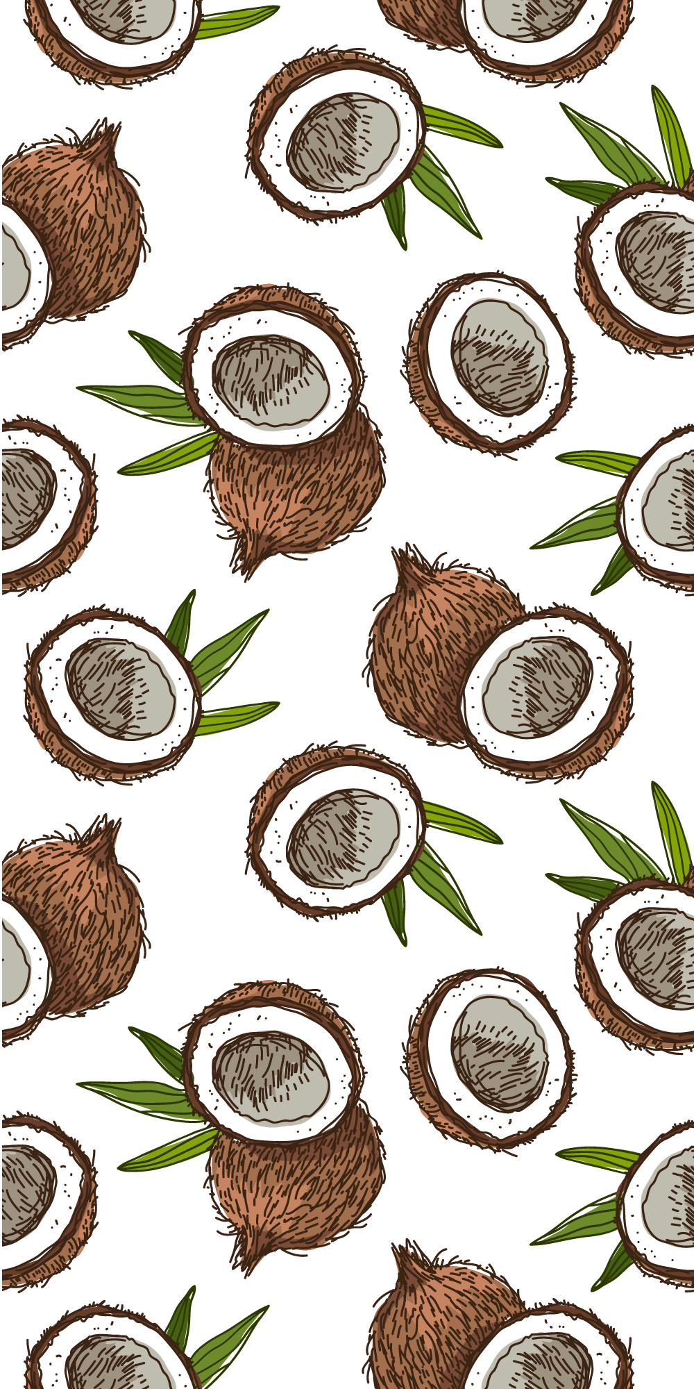 A pattern of coconuts and leaves - Coconut