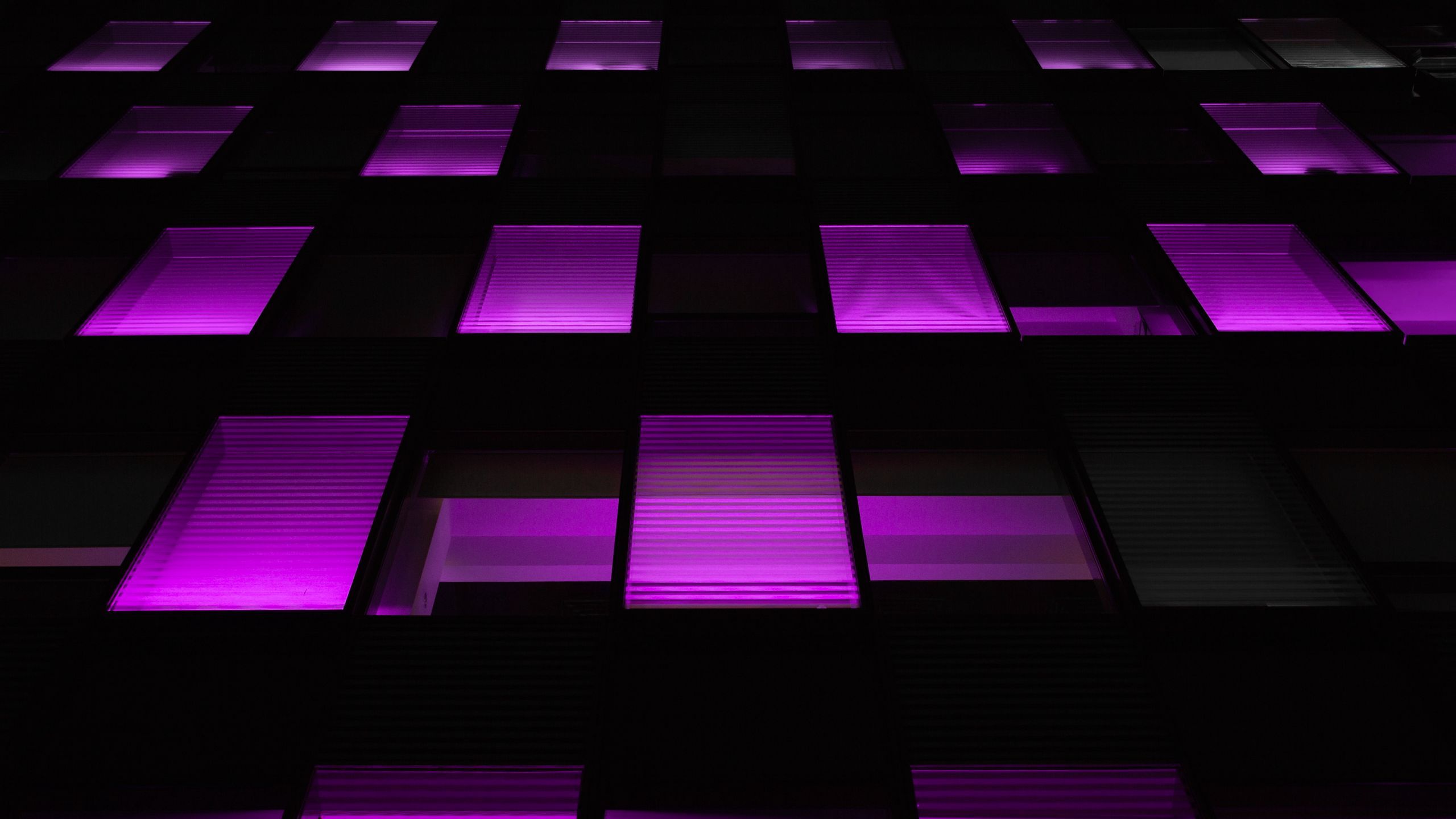 Download wallpaper 2560x1440 windows, dark, purple, backlight, neon widescreen 16:9 HD background