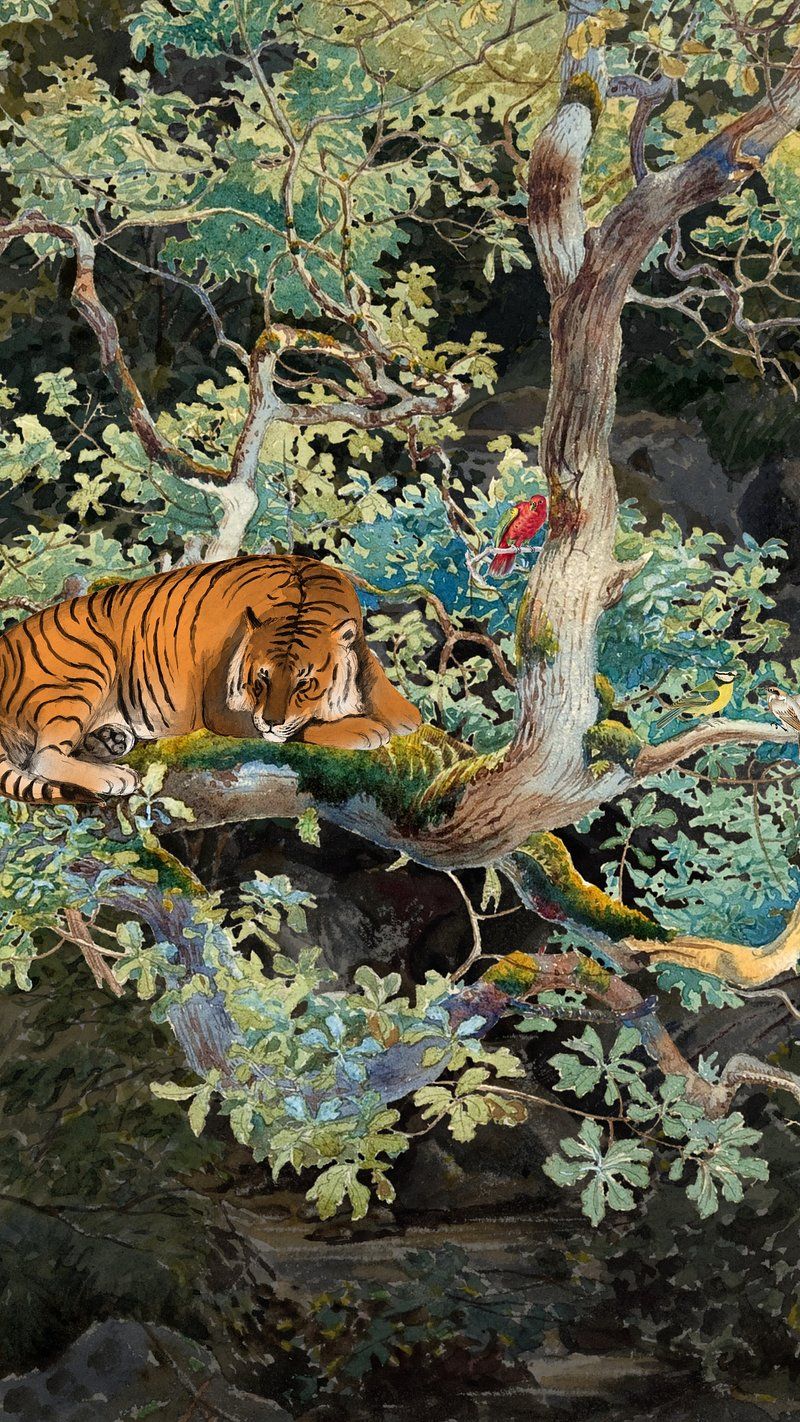 A tiger sleeping in a tree, surrounded by leaves and a bird perched on a branch. - Tiger