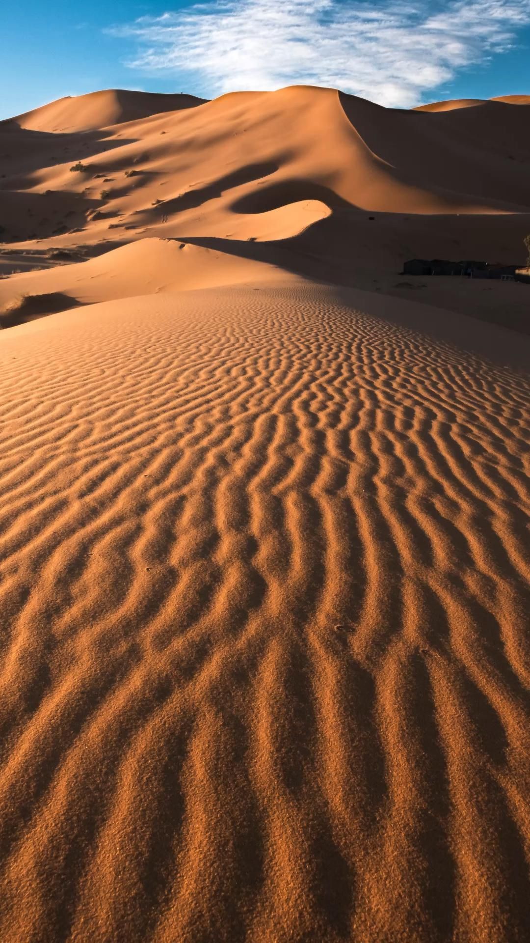 A sand dune in the desert - Desert