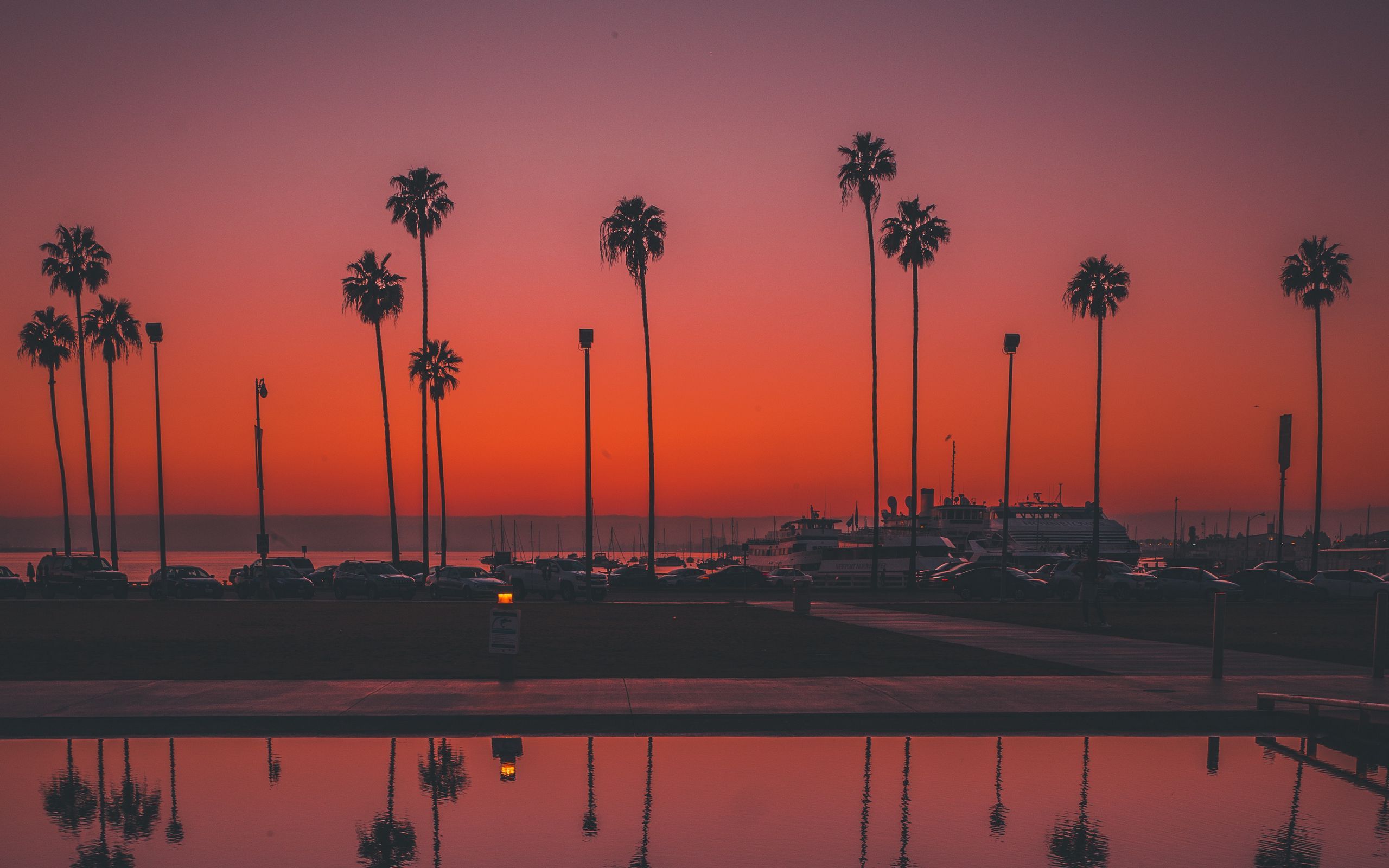 Download wallpaper 2560x1600 palms, sunset, san diego, usa, reflection widescreen 16:10 HD background - 2560x1600