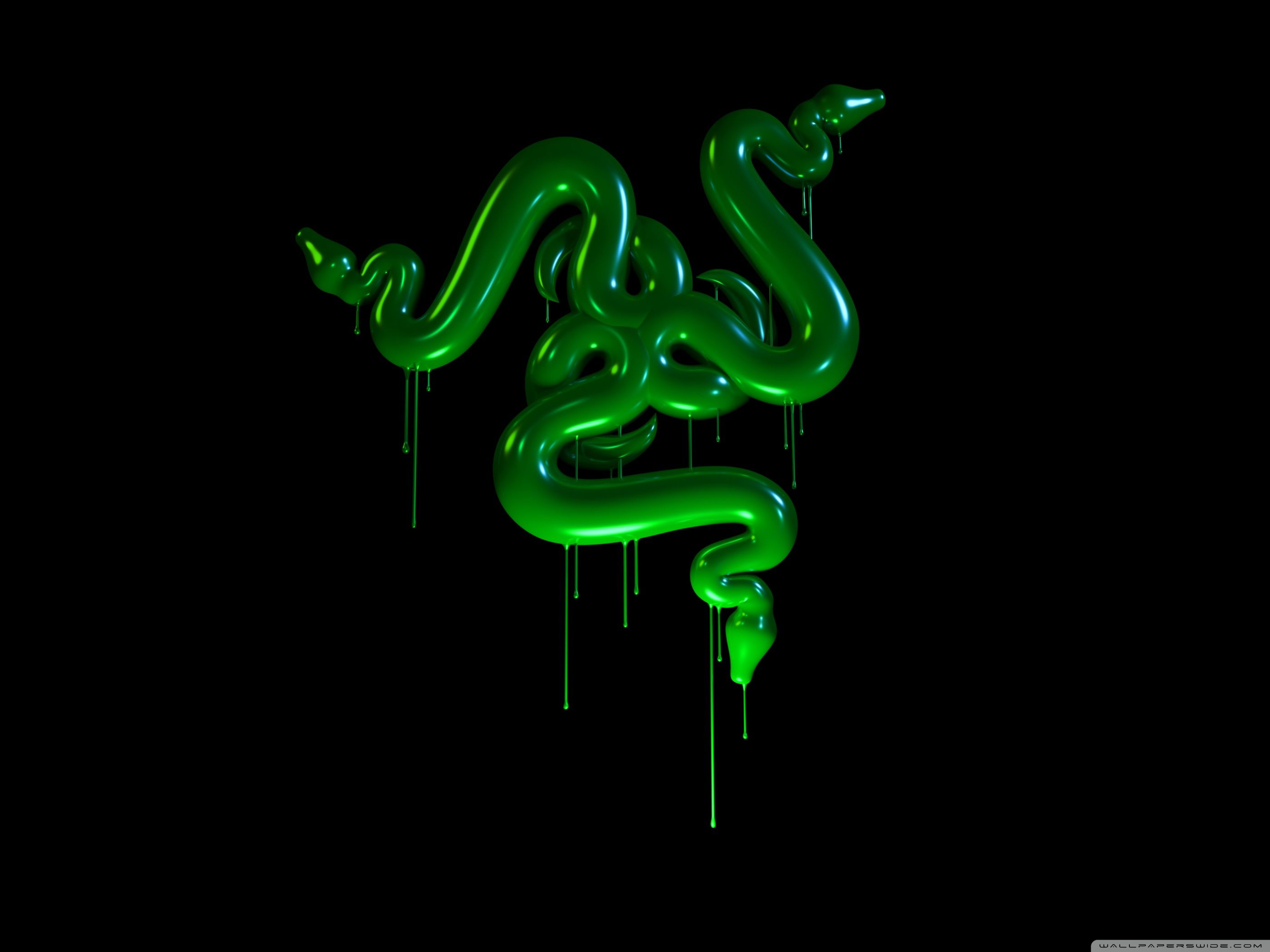 A green snake on black background - Slime