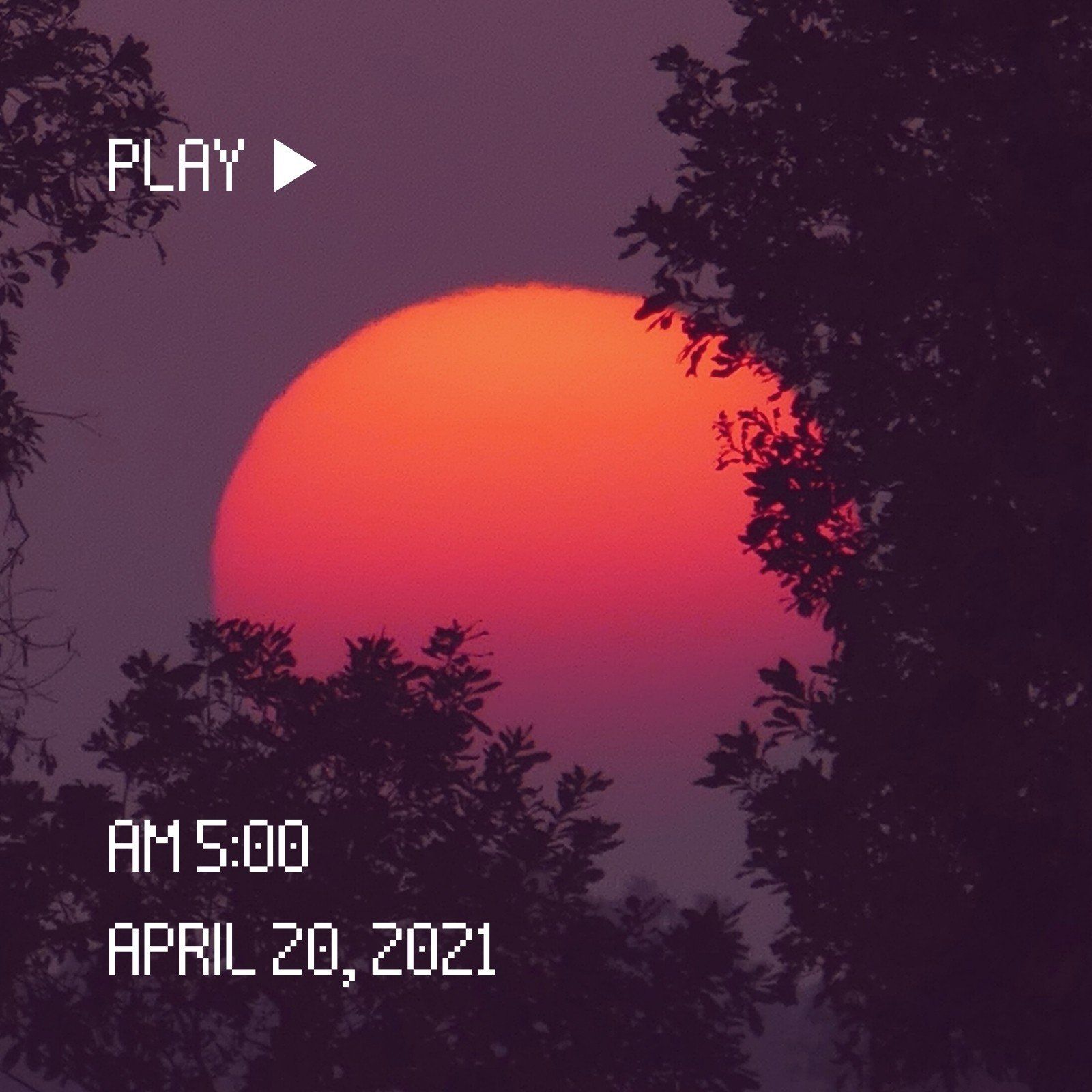 A red sun sets behind trees with the time and date displayed in white text. - Spotify