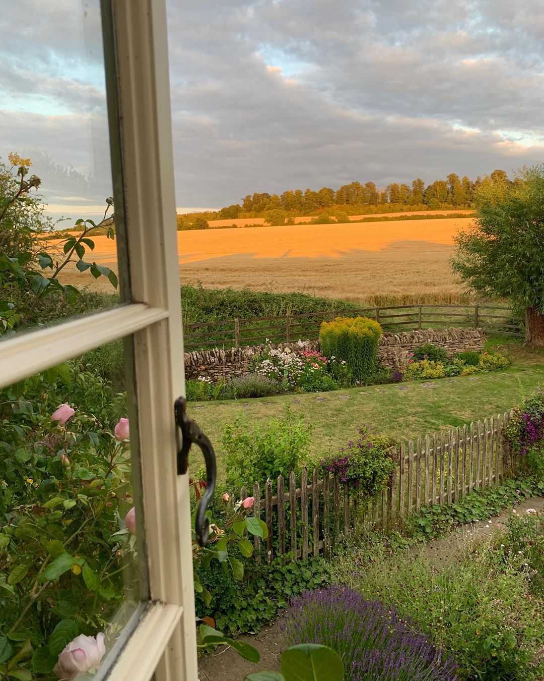 A view of the garden from a window - Cottagecore