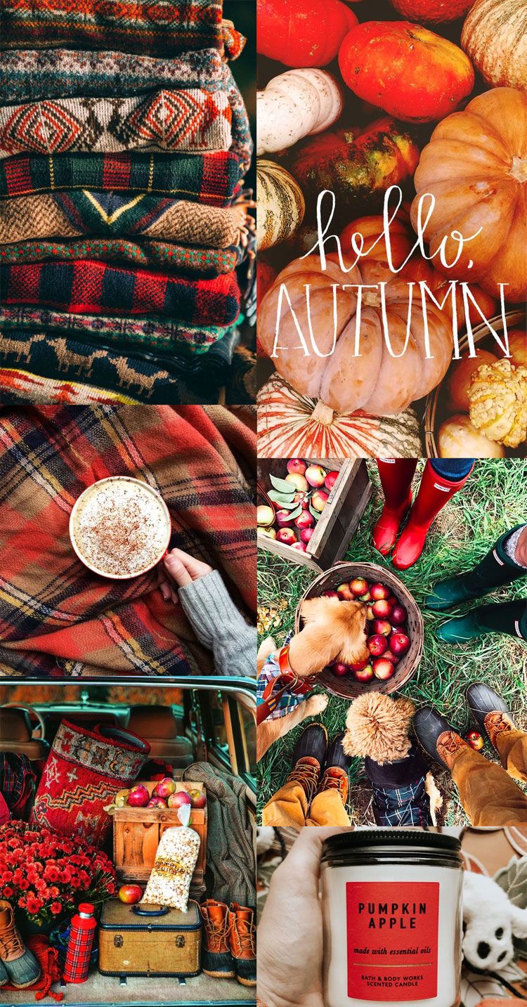 Autumn Collage Wallpaper : Red Apple Autumn