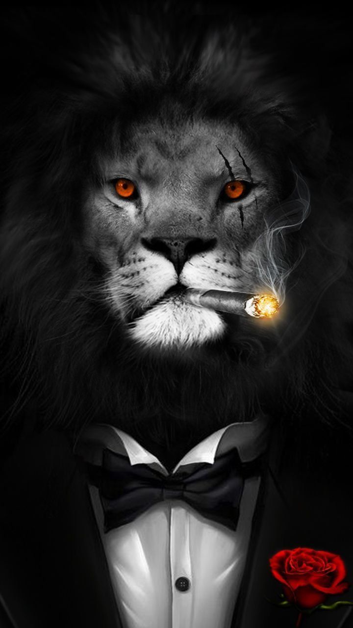 Aesthetic mad lion Wallpaper Download
