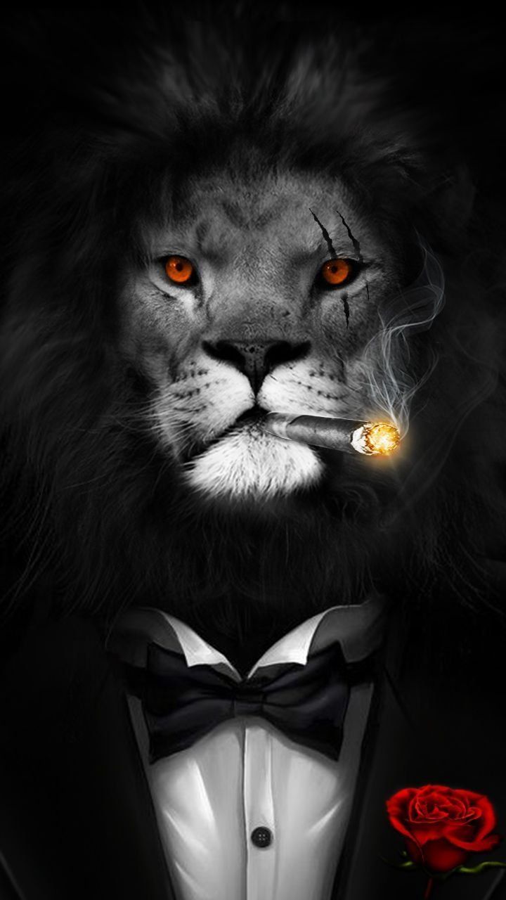 A lion in a tuxedo smoking a cigarette with a red rose at his feet. - Lion